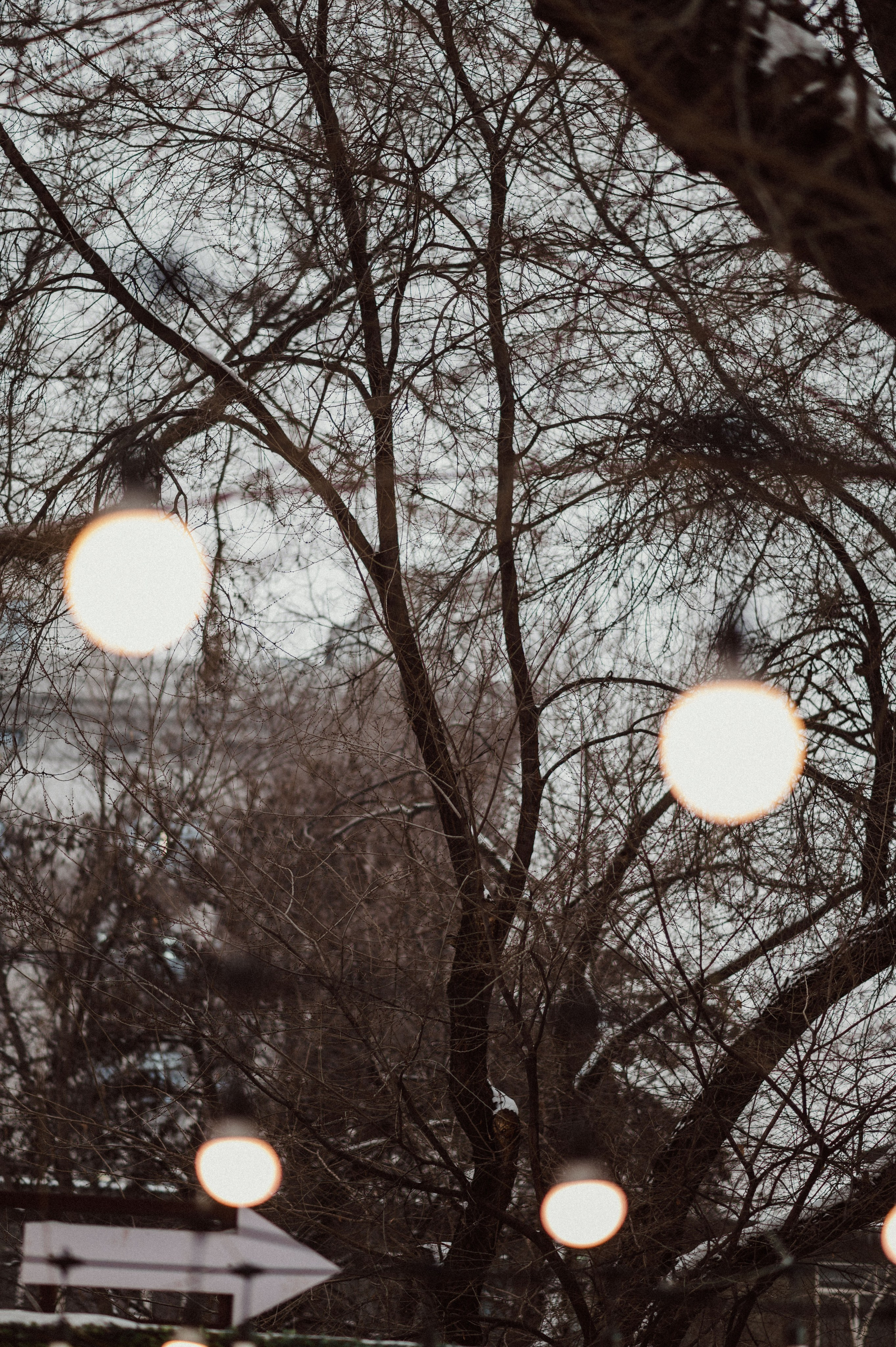 Стрит Алматы: зима 2024. Фотограф в Алматы — Дарья Фёдорова