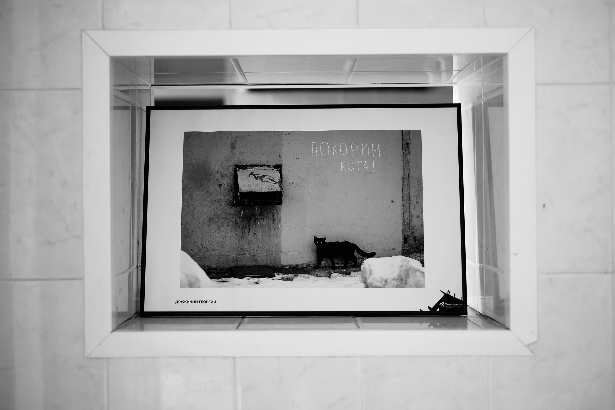 Медынь 12.06.2024. Фотострелка