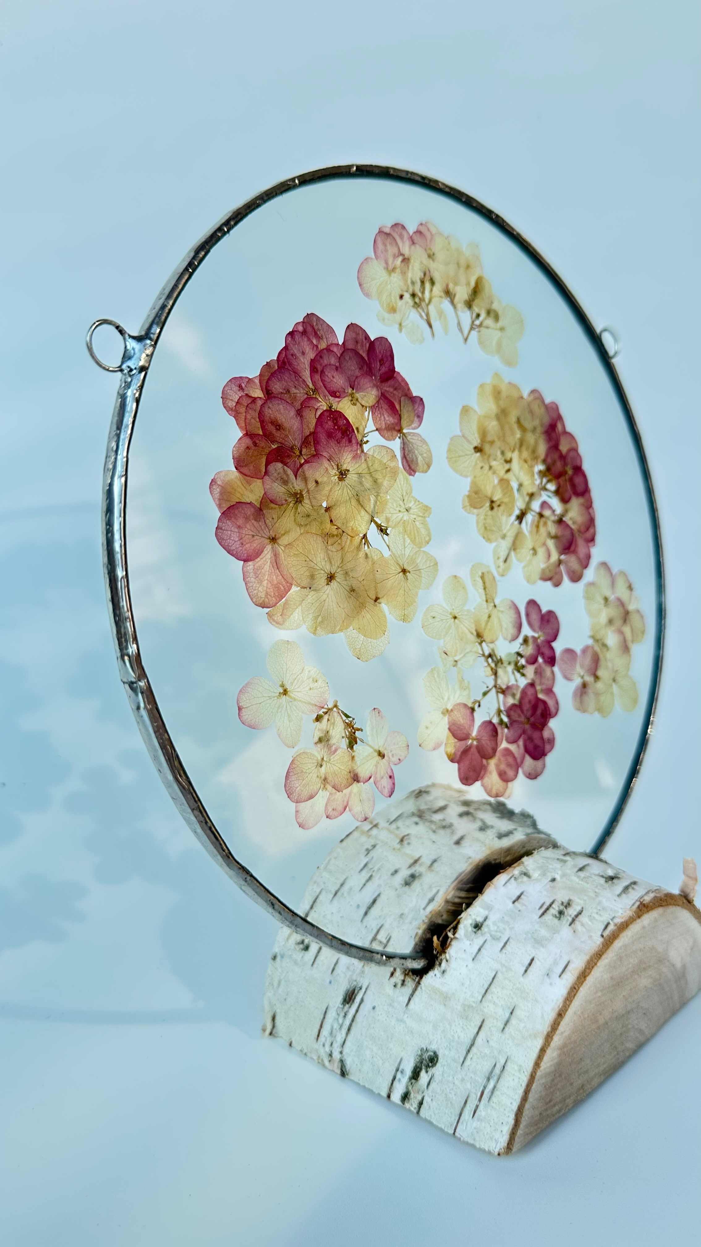 Гортензия круг 20 см. Оформляю пространства. Витражи с сухоцветами в технике Тиффани