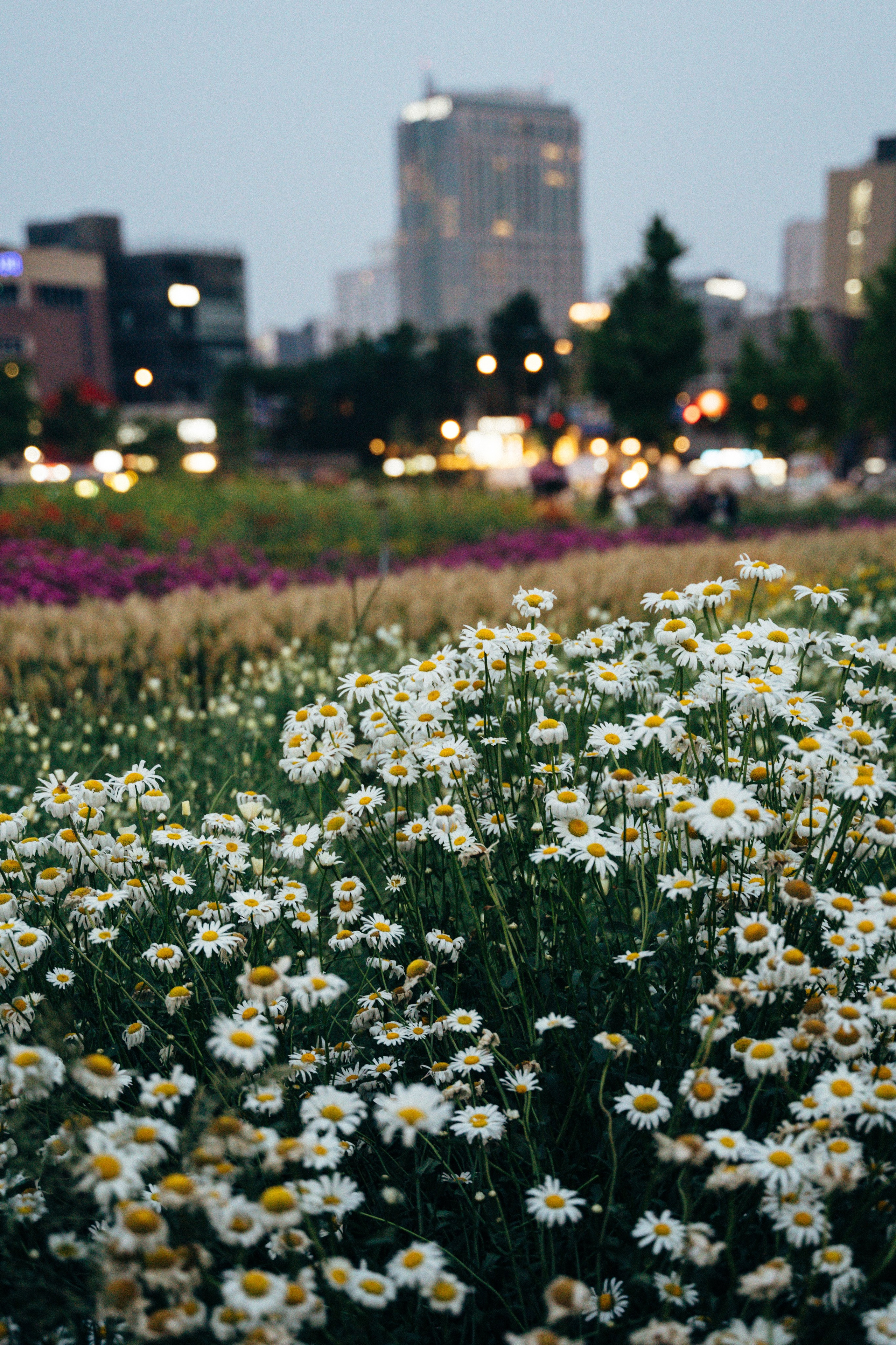 Южная Корея