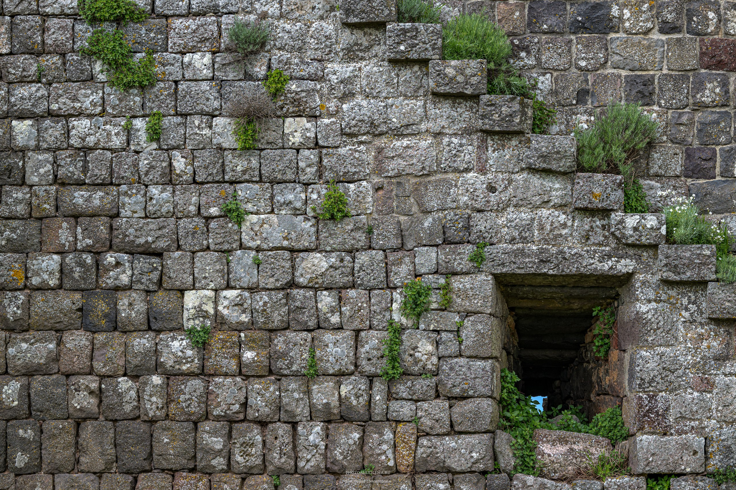 Радикофани и Баньо Виньони. Авторские стильные фотокартины