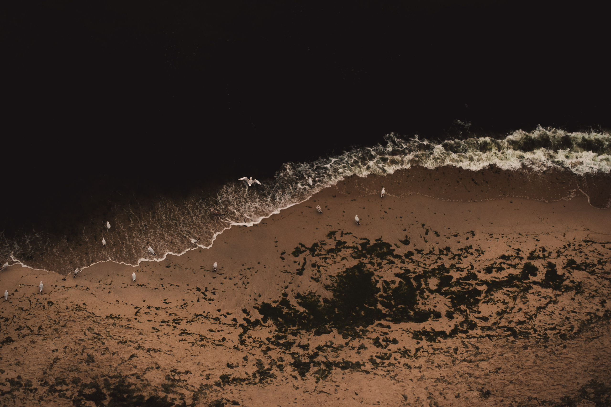 — Digital Noise —