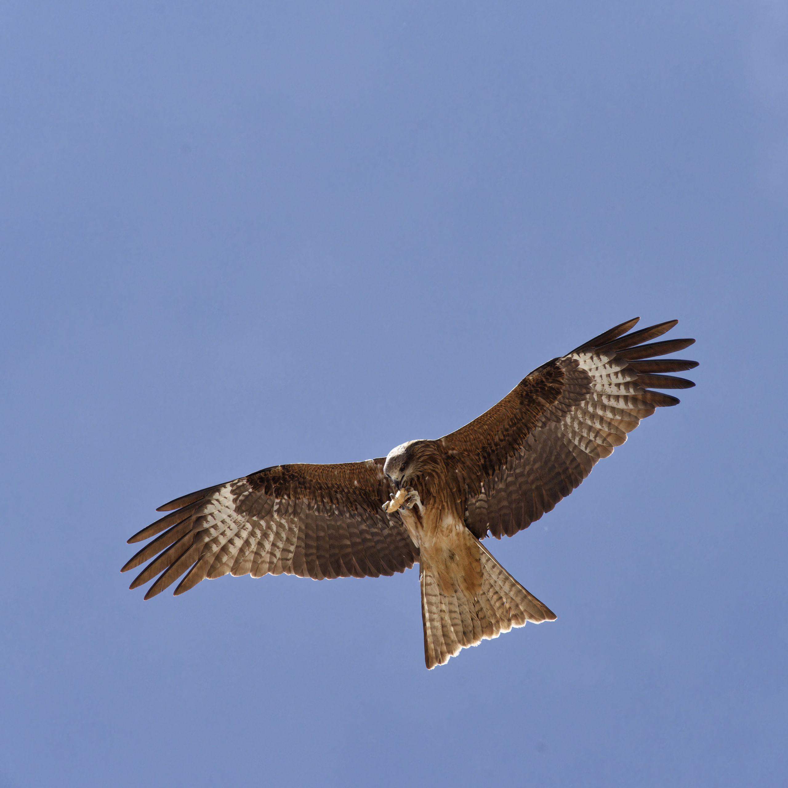 Экспедиция в Монголию (котловина больших озер). Семоха Валерий. Фотограф
