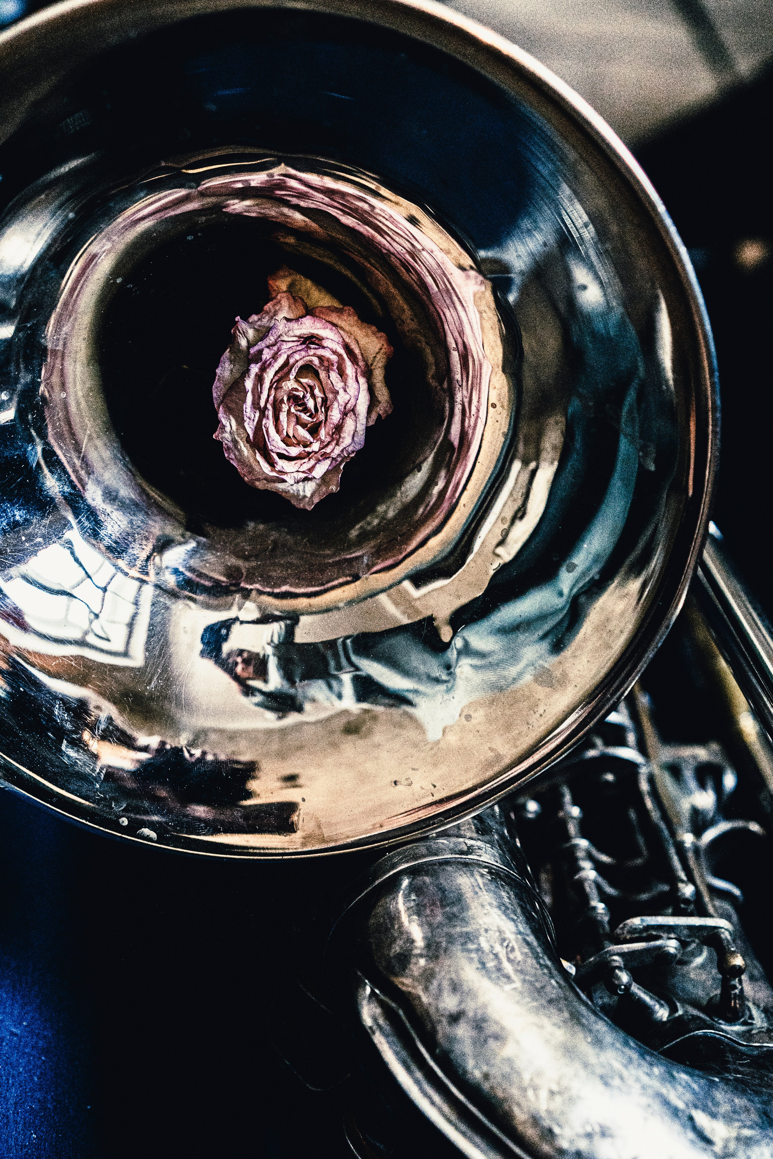 Парам пам пам. Мультифотограф Сергей Запорожец