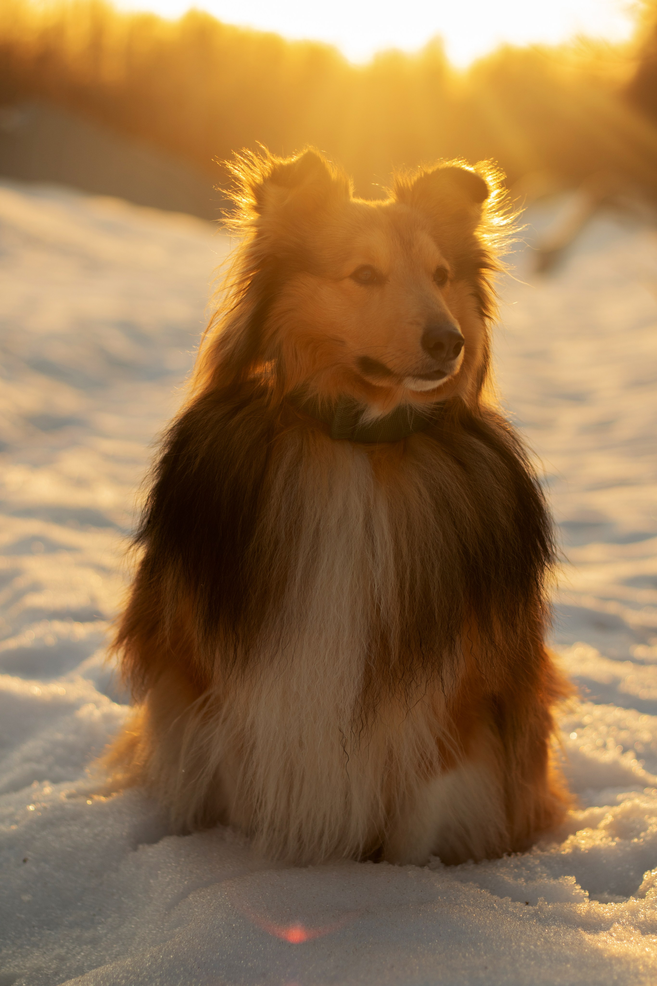 Катя Попова|ЛайфСтайл фотограф