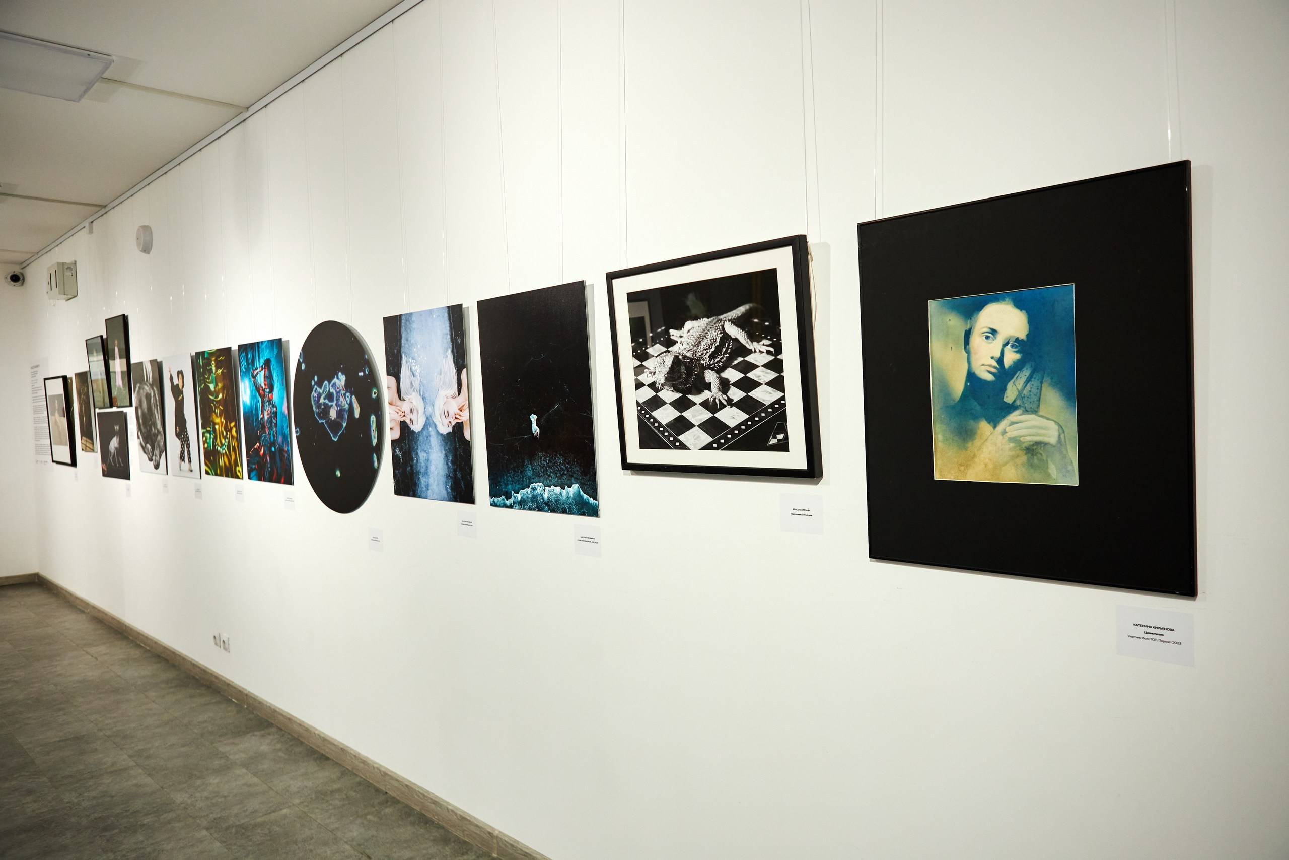 КРАСОТА МОМЕНТА. Фотограф Михаил Стенин