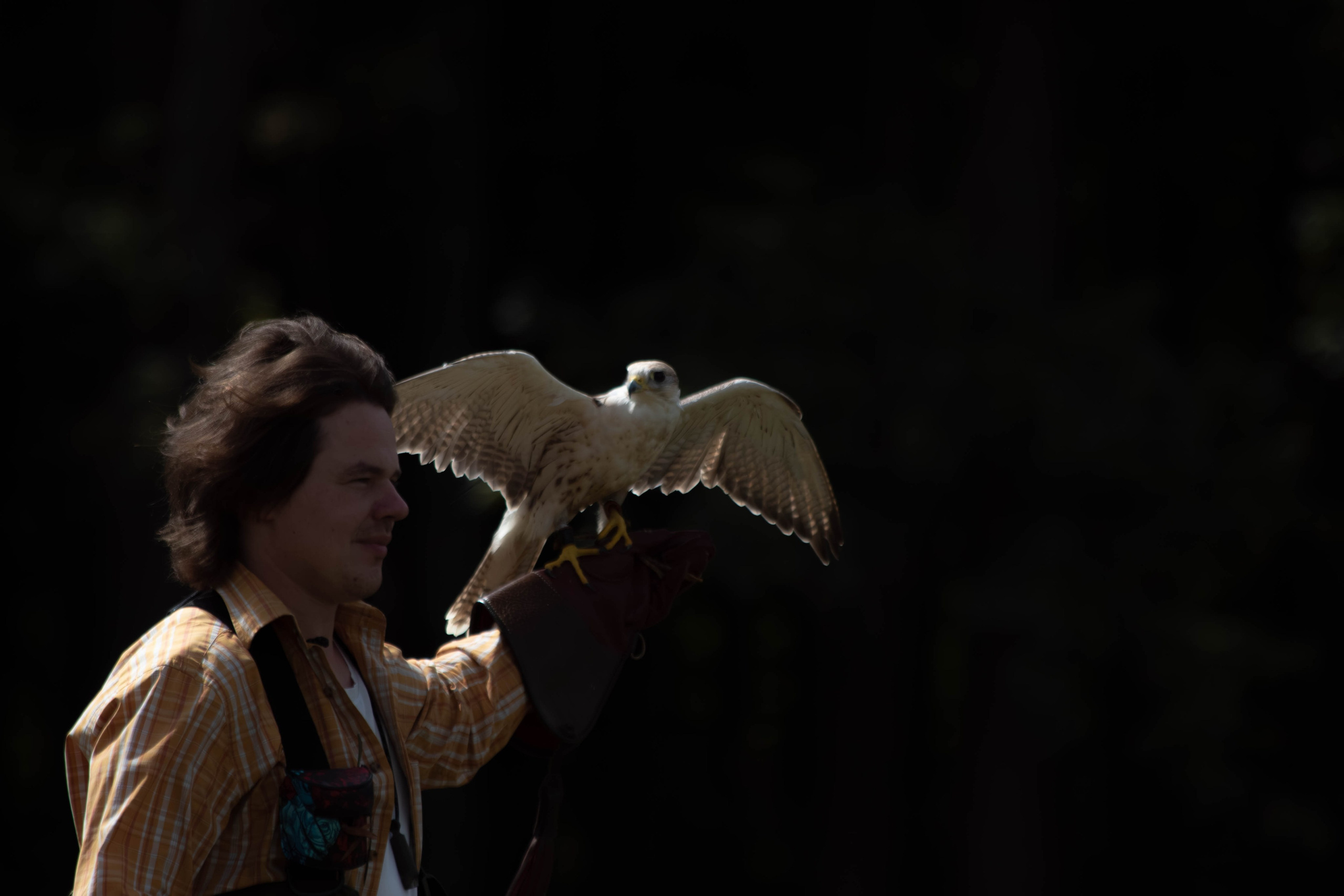 Охота как искусство Ясная поляна. Фотограф анималист — Тула, Москва