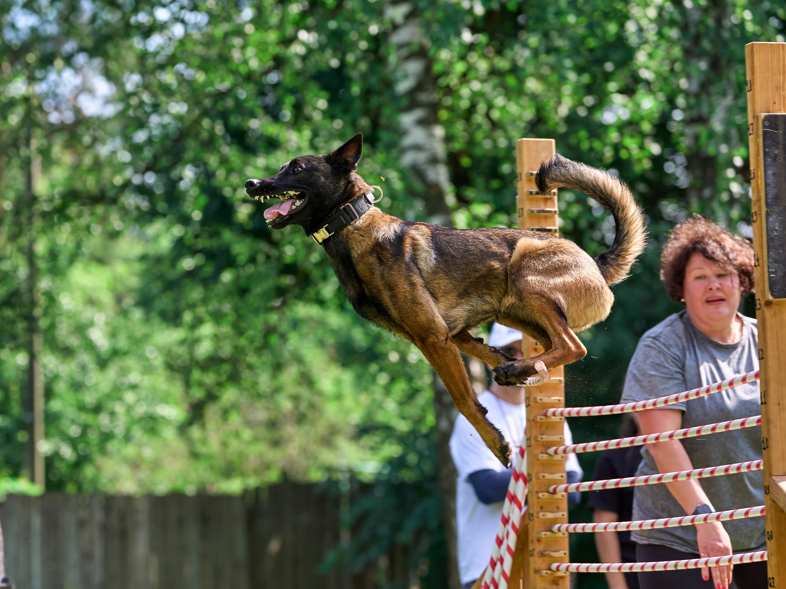 Двухдневные соревнования «Jump'n'Gym Fest — 2024». Фотограф-анималист Михаил Манухин