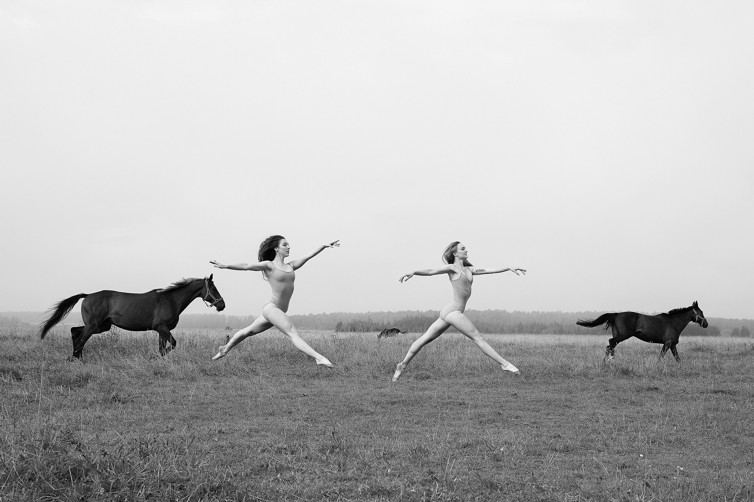 Балет и лошади, фотосессия «ГРАЦИЯ и СИЛА-1» Фотограф Михаил Семенов г. Ярославль