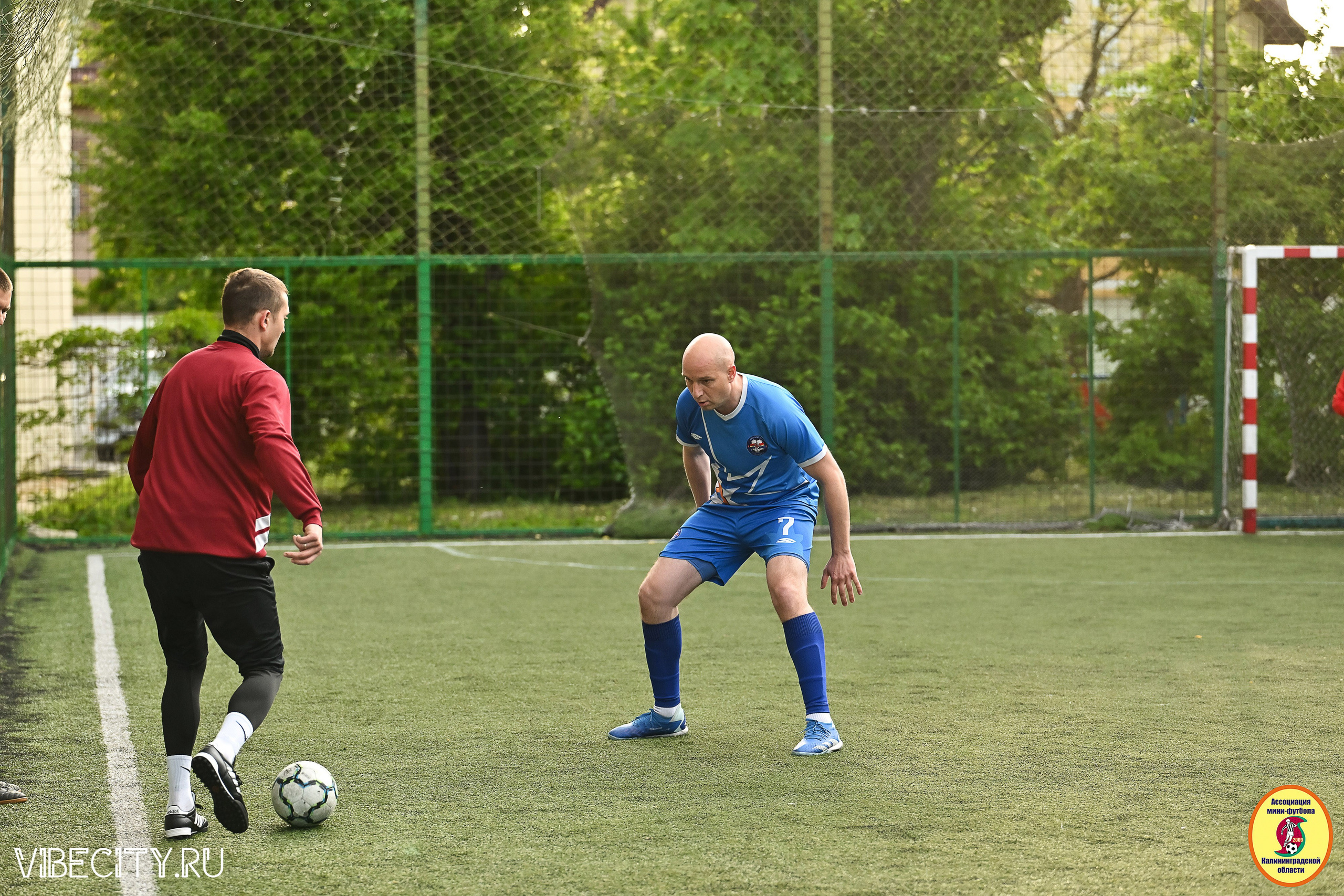 ИГРЫ МИНИ-ФУТБОЛЬНОЙ ЛИГИ. VIBECITY.RU Вайб Сити Ру Фоторепортажи Фотоотчеты Калининград