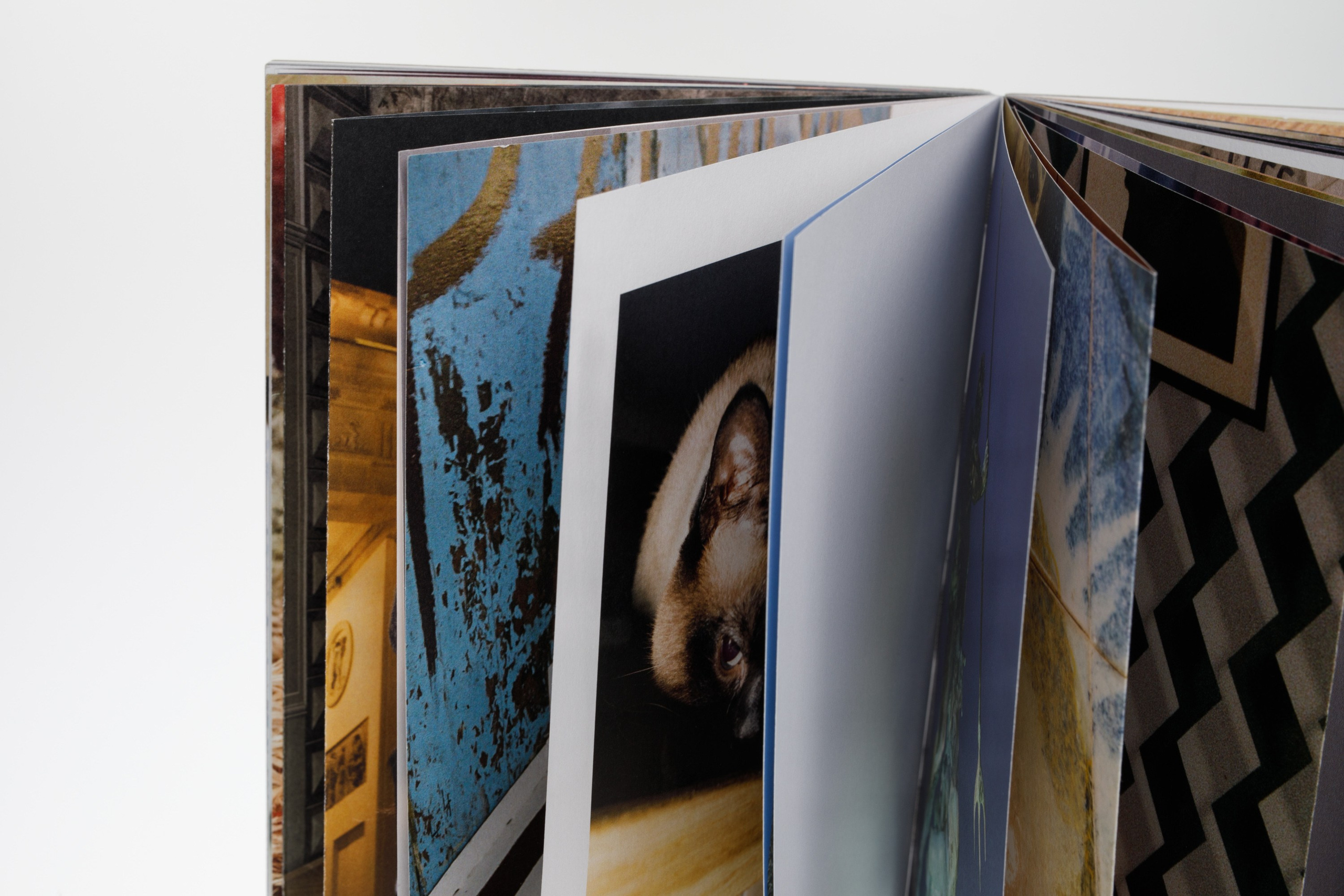 Przepraszam/Sorry. Photographer, Documentary and Art