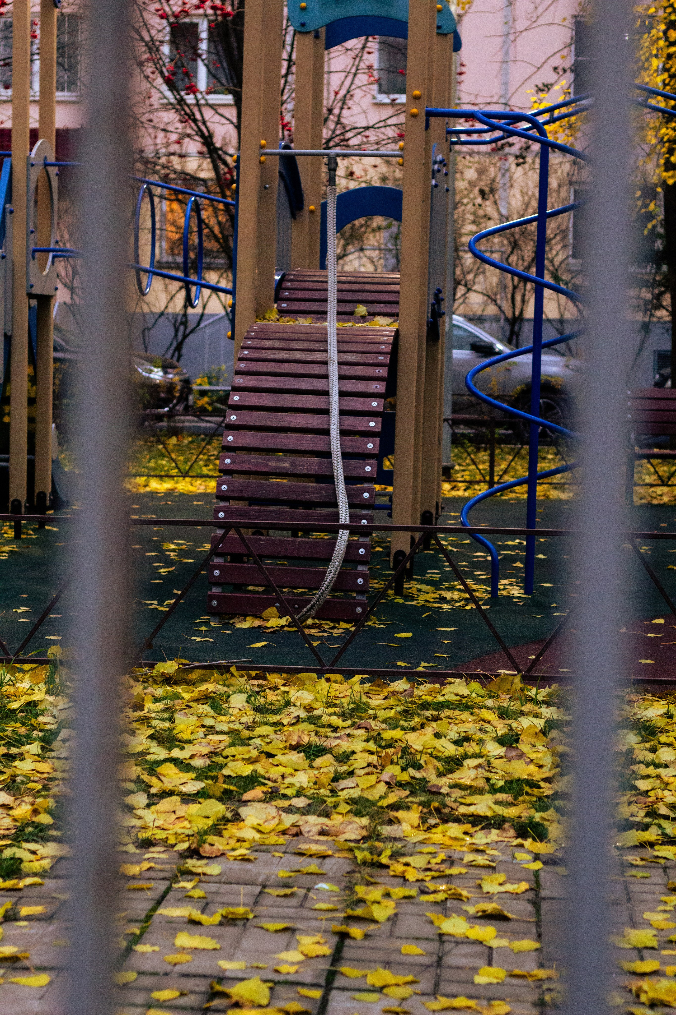 Осень в Москве. Фотограф Москва, портрет, стрит, репортаж. Художественная фотосессия
