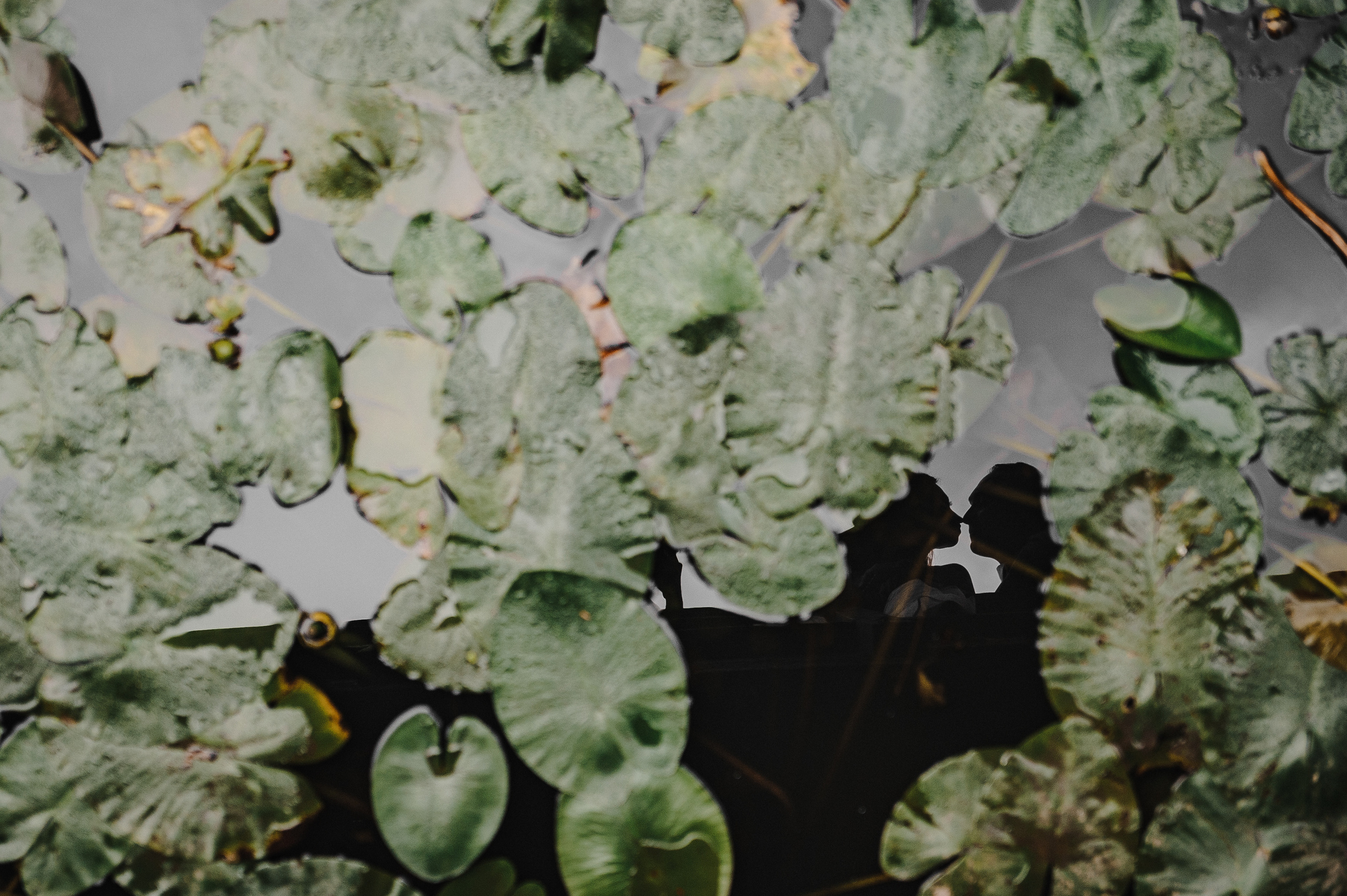 Ирина и Денис. Анонс свадебной фотосессии. Свадебный фотограф в Москве Алексей Тук