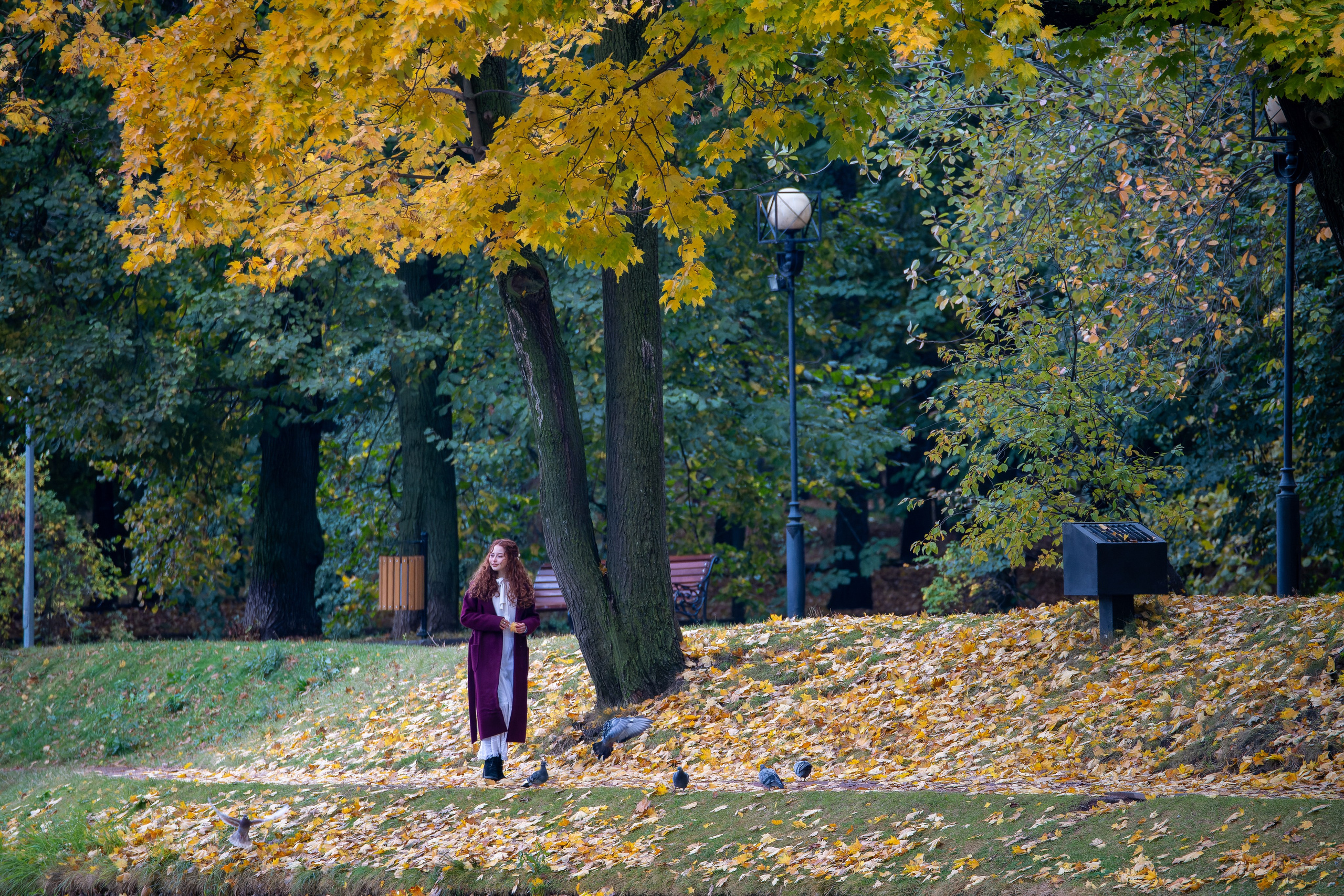 Фотограф на прогулочную фотосессии, фотосъёмка в парке, фотосессии в цветущем саду, студийные фотосессии. «Студия DRONAVT`s» — видеосъёмка и фотография г. Москва