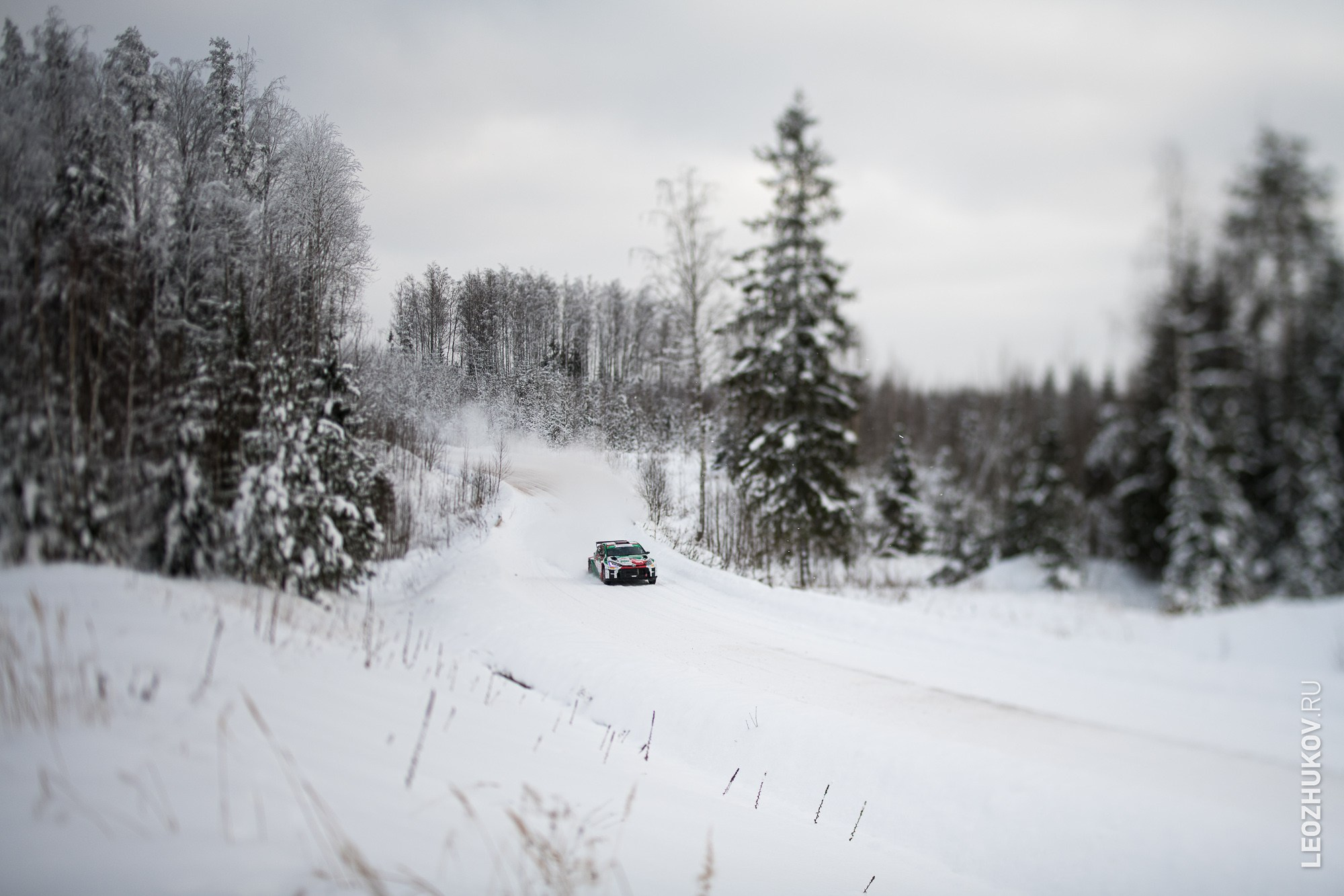 Rally Suvorov 2026. Sports photographer Leonid Zhukov