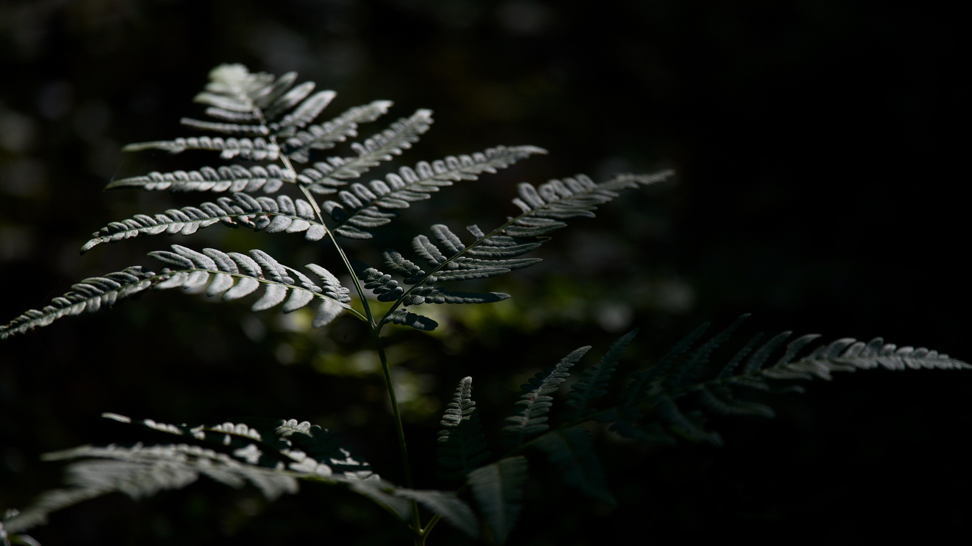 ≫ Nikita Tsarev ≫ Sports and event photographer