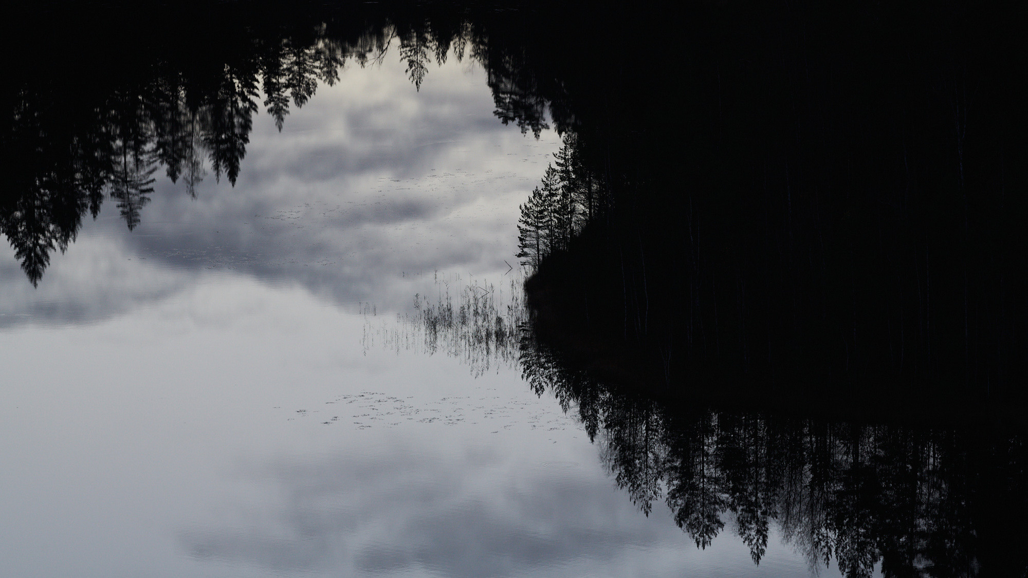 ≫ Nikita Tsarev ≫ Sports and event photographer