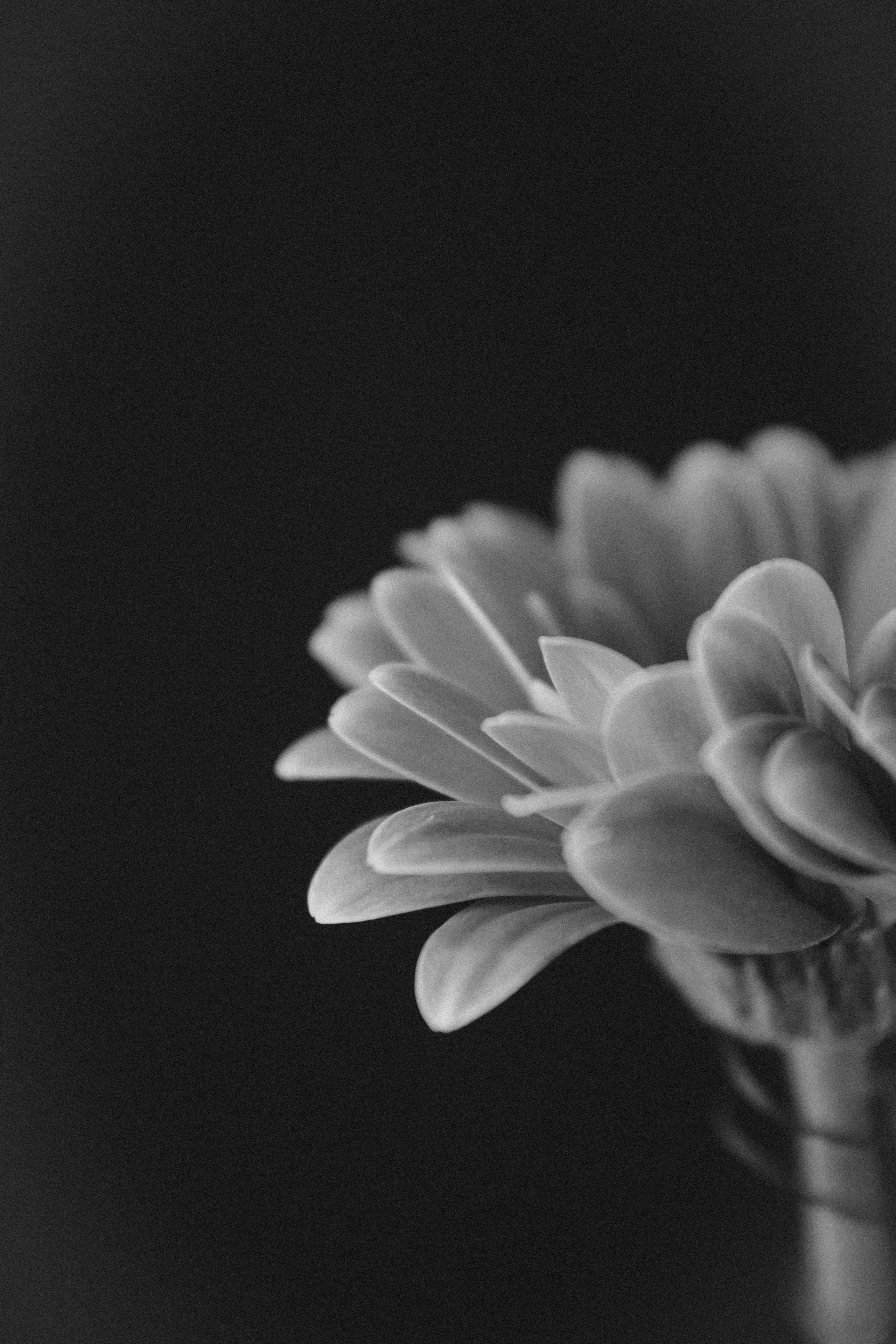 Фотограф в Москве — Анна Киселёва | портреты и тёплые истории