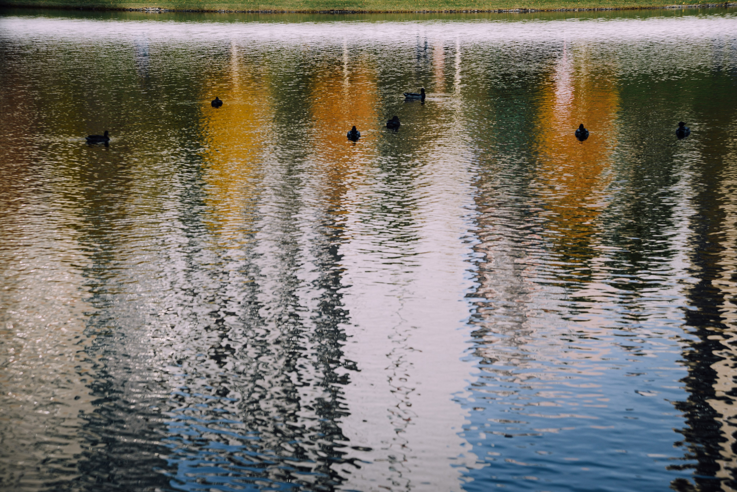 Октябрь в объективе: фотографии осеннего сезона