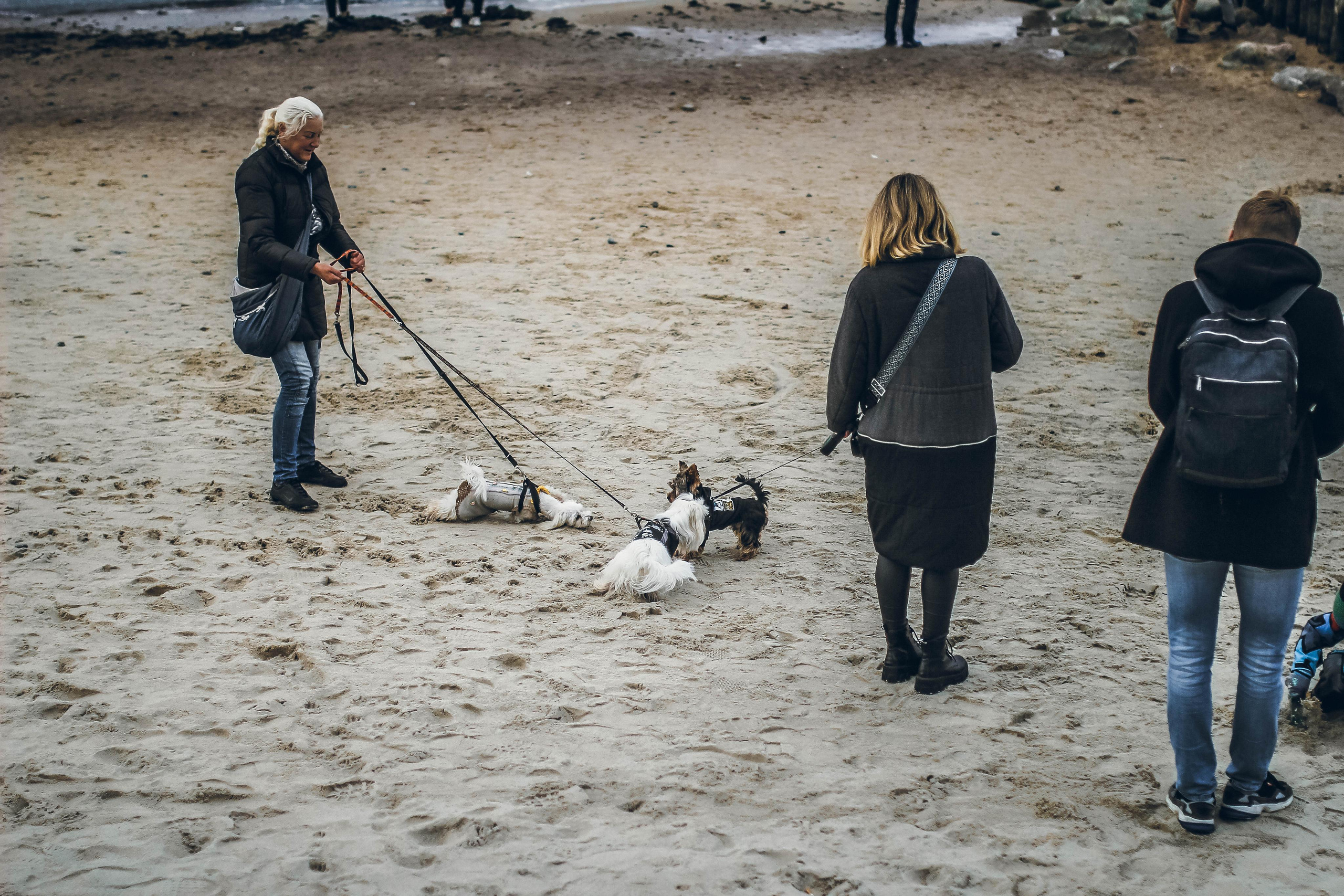 Калининград. Детский и семейный фотограф Малых Ольга г. Салехард