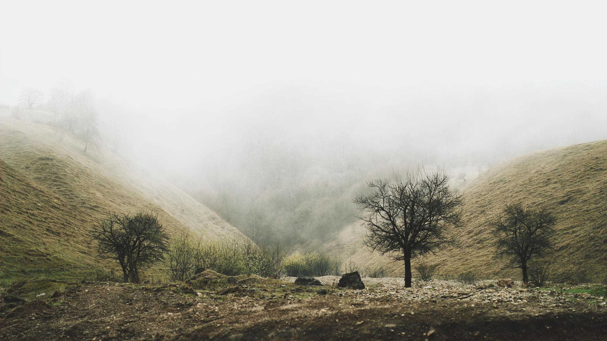 Грозный. Детский и семейный фотограф Малых Ольга г. Салехард