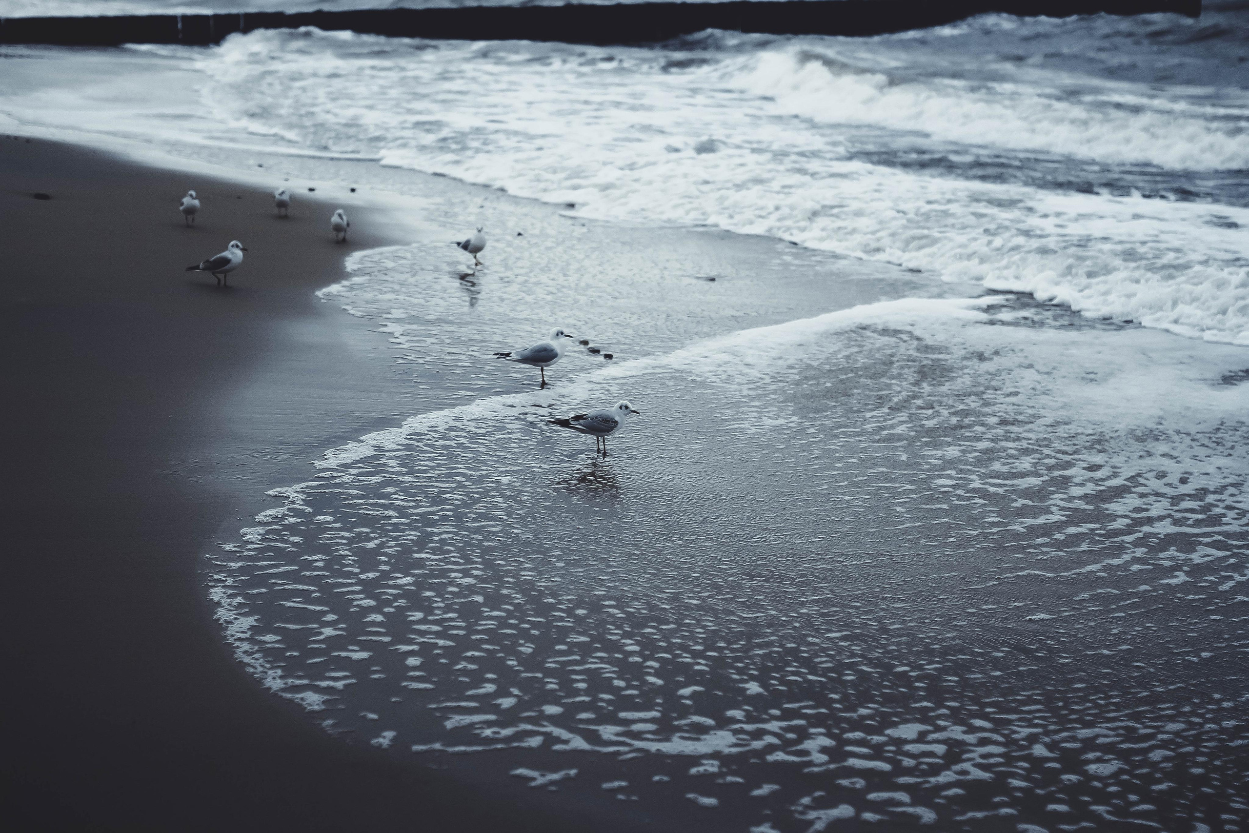 Калининград. Детский и семейный фотограф Малых Ольга г. Салехард