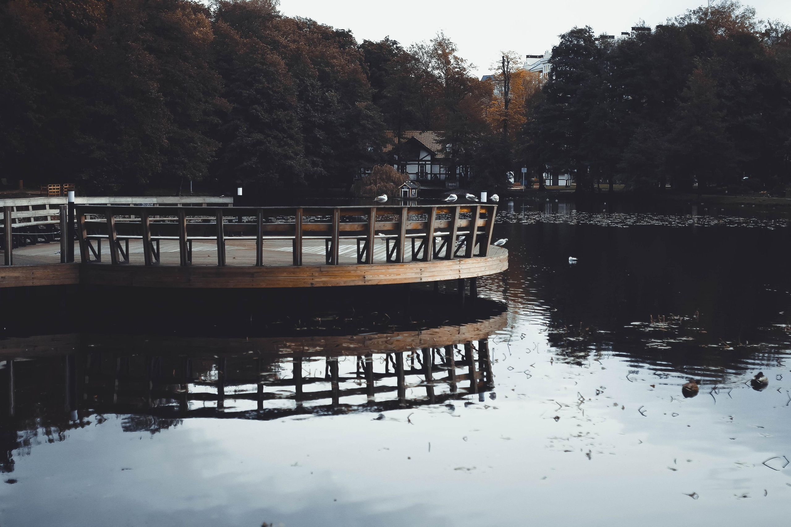 Калининград. Детский и семейный фотограф Малых Ольга г. Салехард