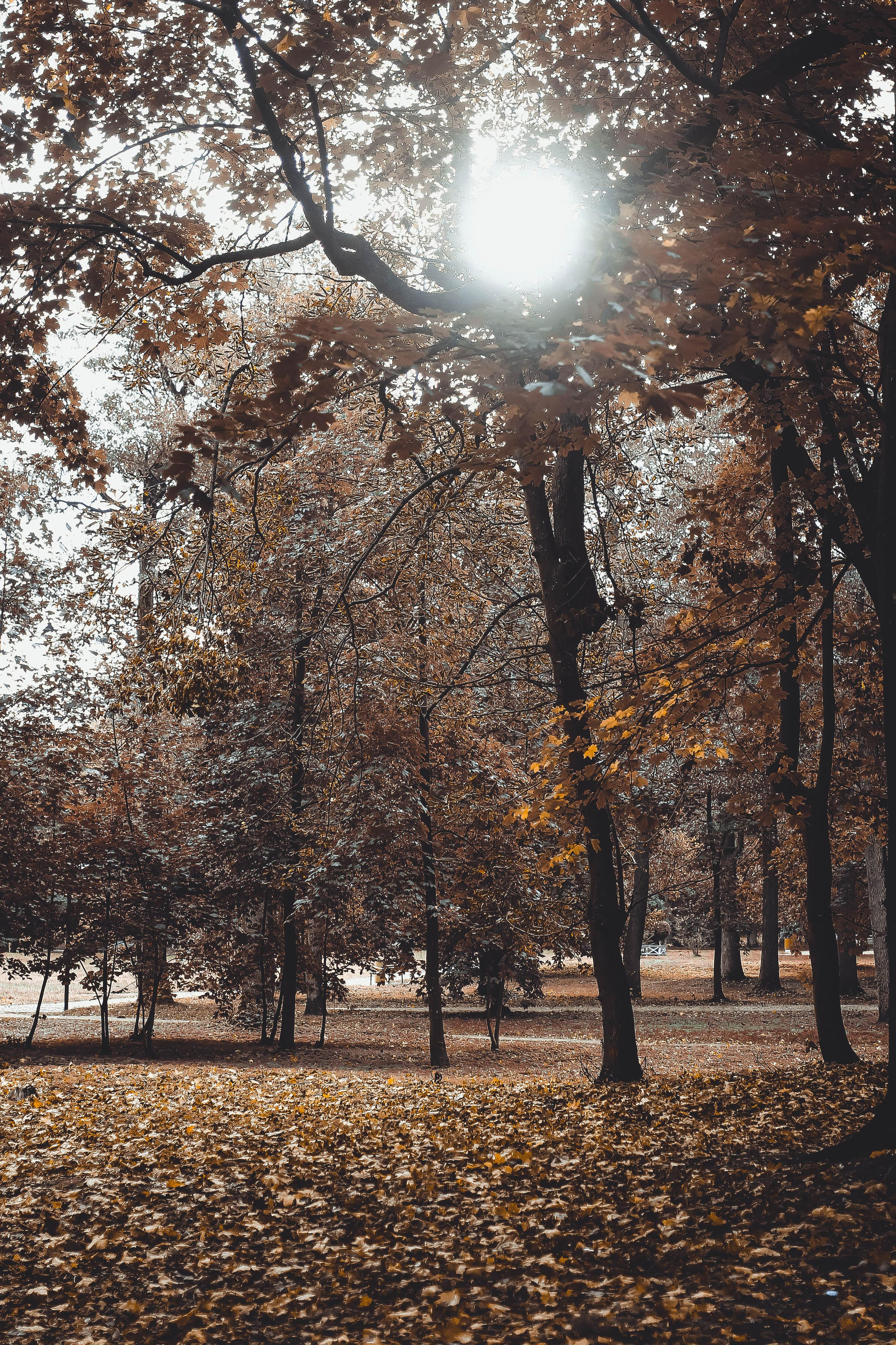Калининград. Детский и семейный фотограф Малых Ольга г. Салехард