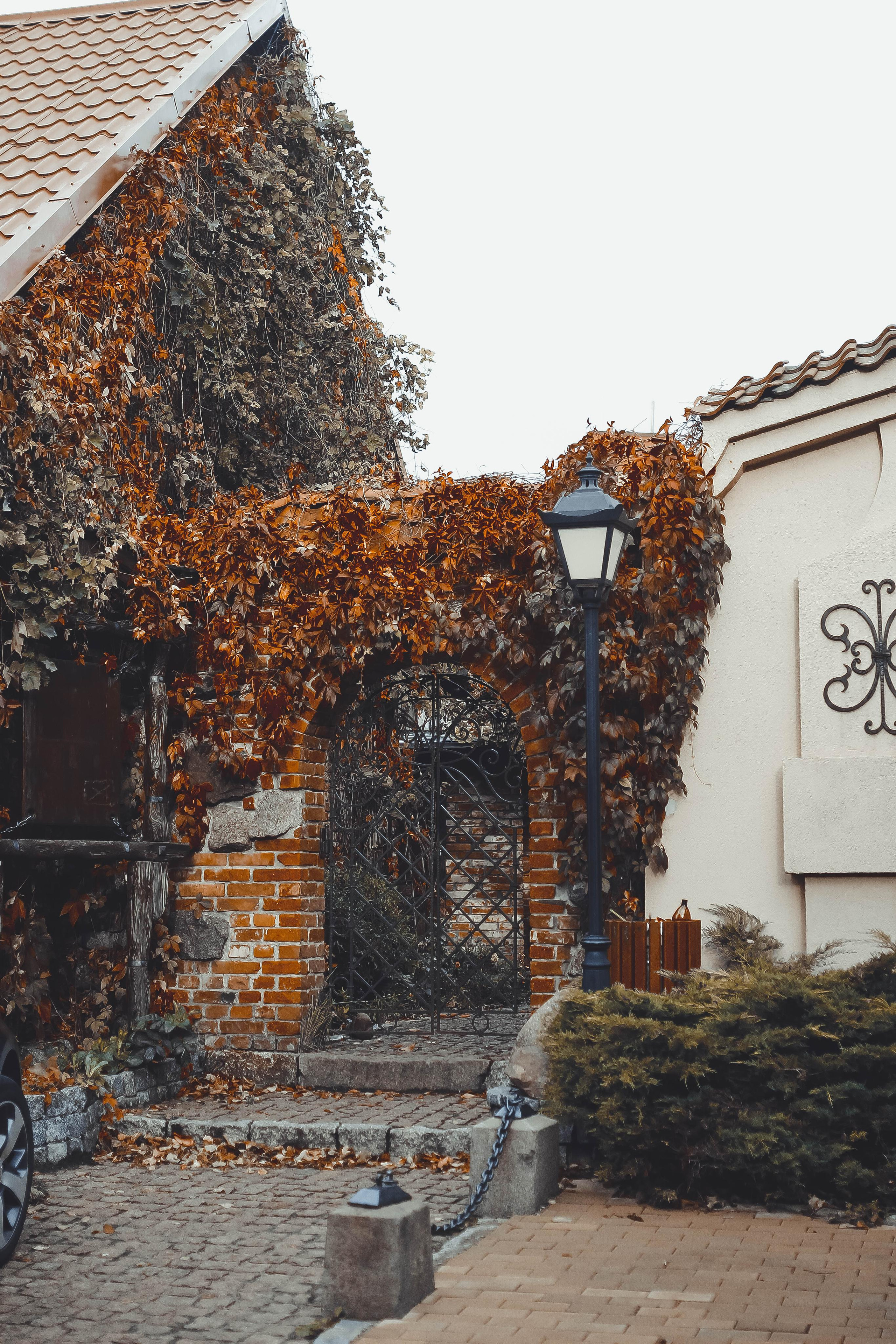 Калининград. Детский и семейный фотограф Малых Ольга г. Салехард