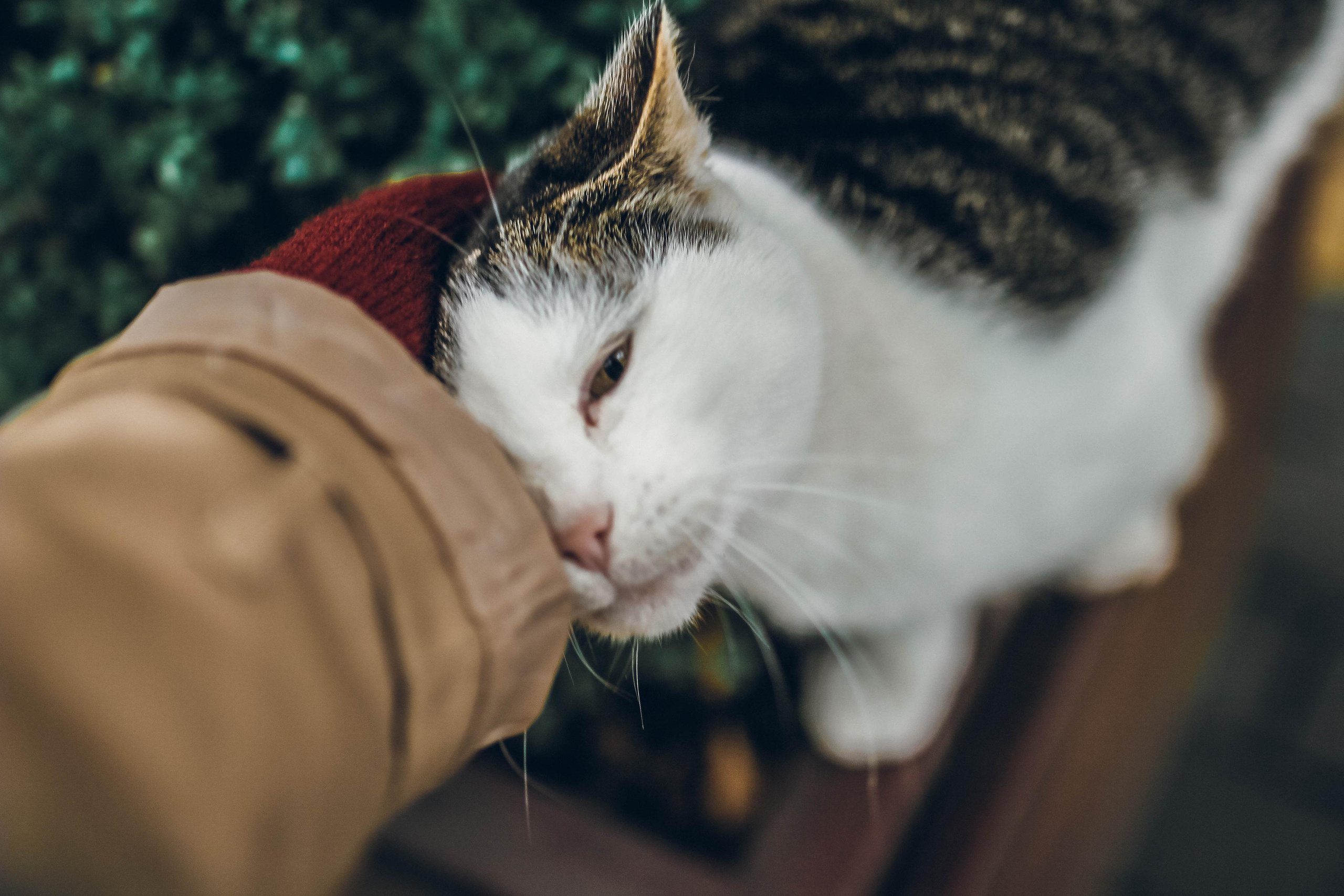Калининград. Детский и семейный фотограф Малых Ольга г. Салехард