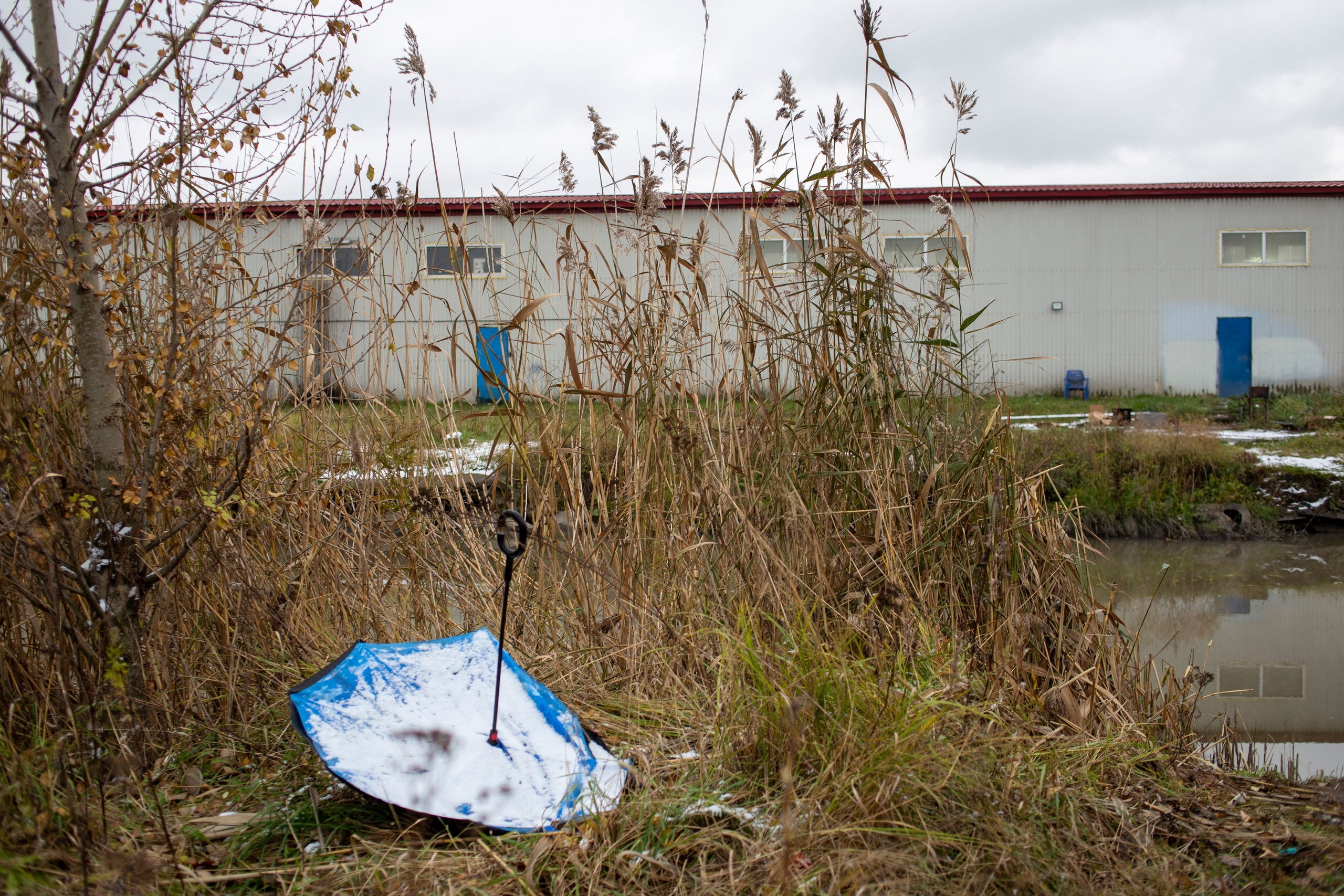 Сумерки речи. Михаил Курганов