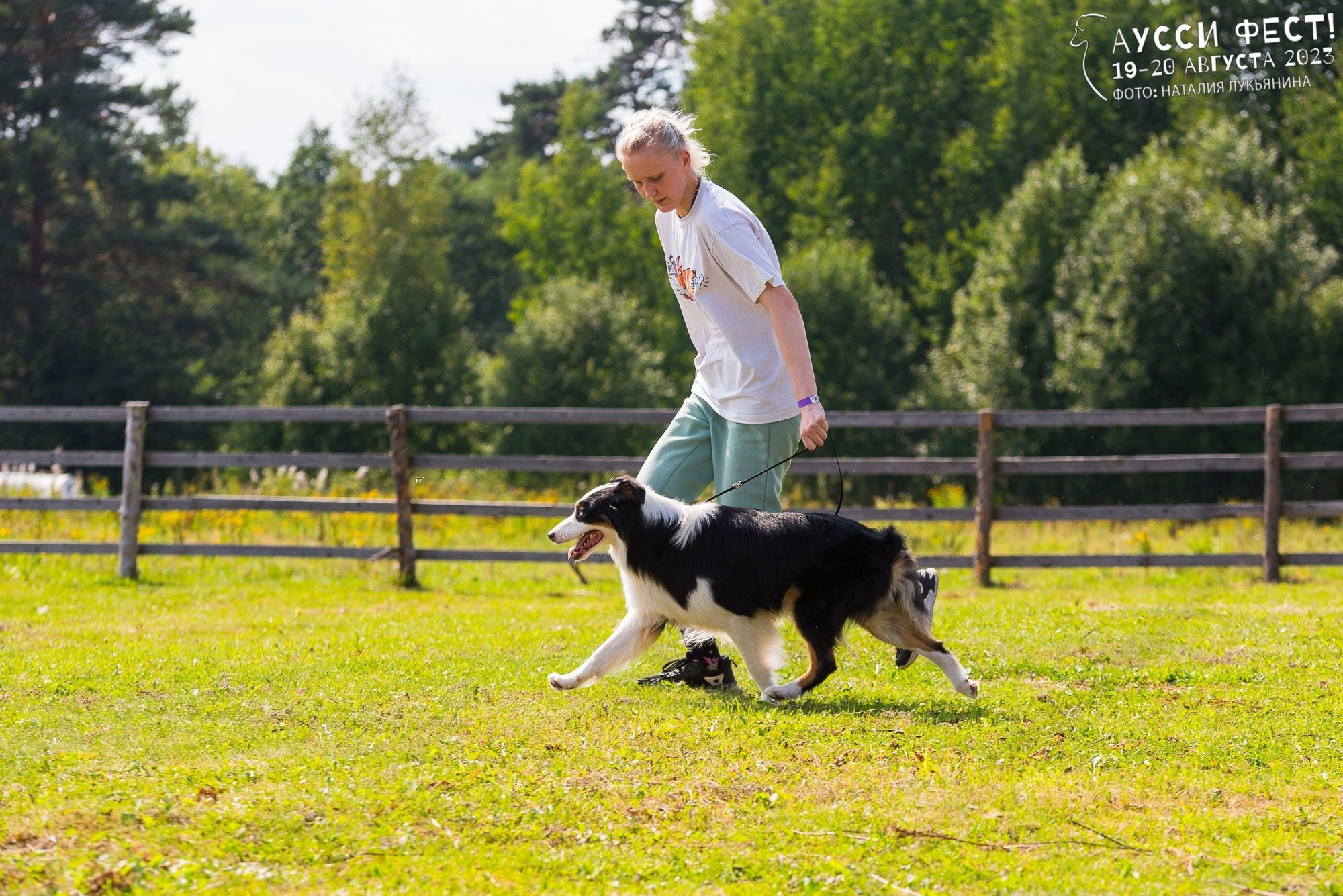 Гелий. BLGKV питомник собак