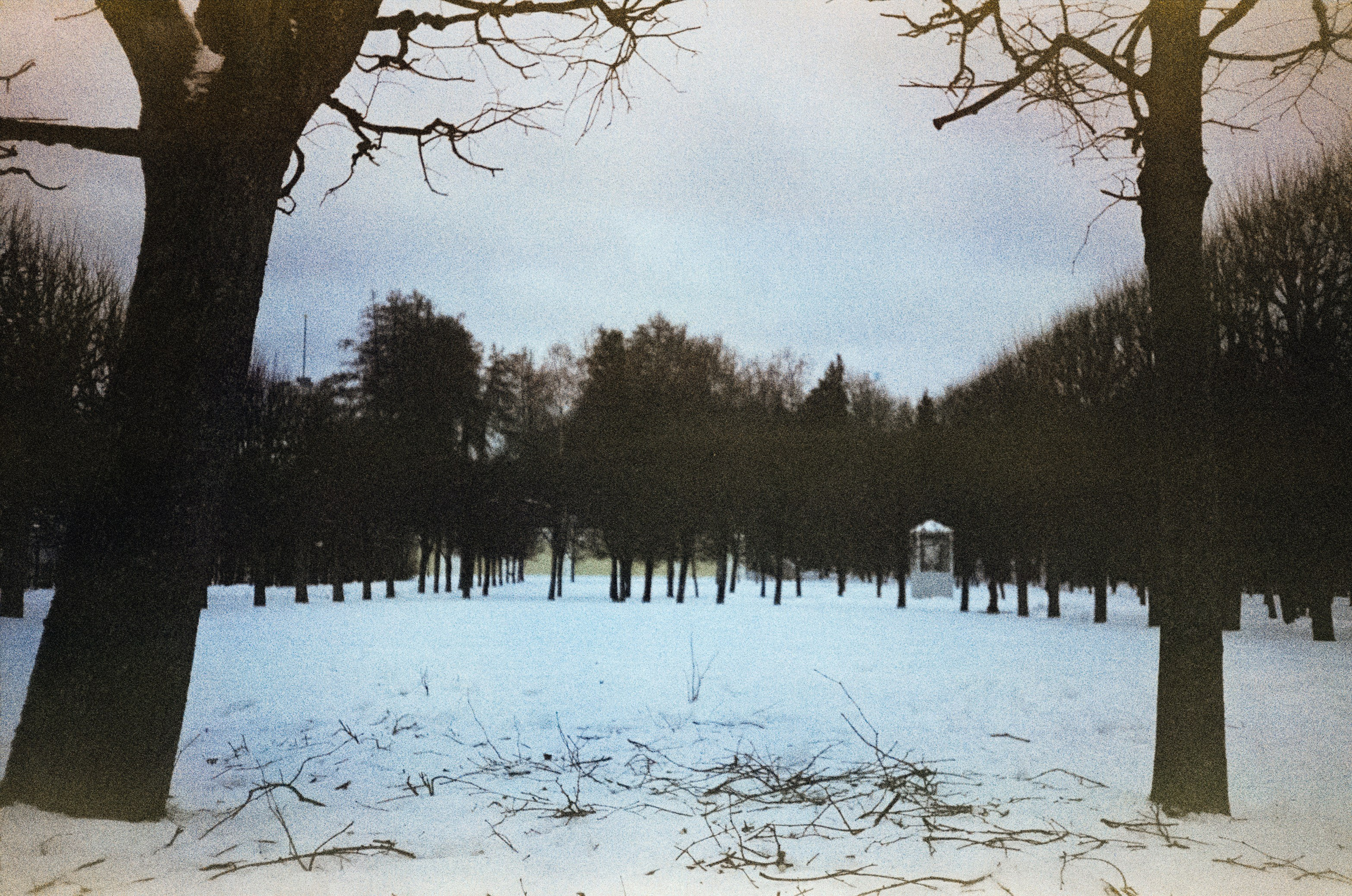 Fujicolor Superia 200 (просрочка) / Cosina CX-1 / 6 января 2025 года Усадьба Архангельское