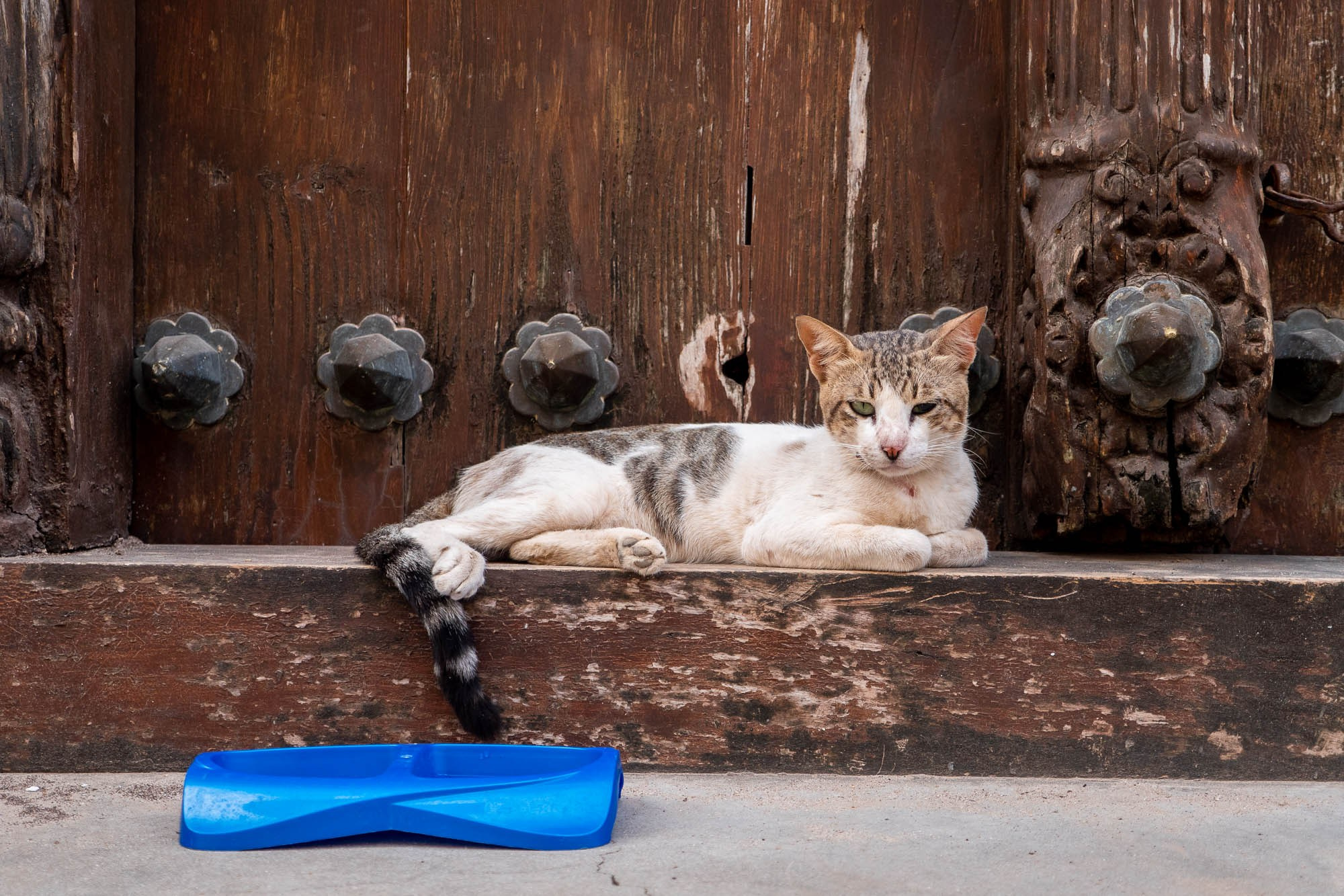 Остров Занзибар, г. Стоун Таун (Занзибар) Zanzibar Island, Stone Town (Zanzibar). Фотограф Алексей Скоробогатько