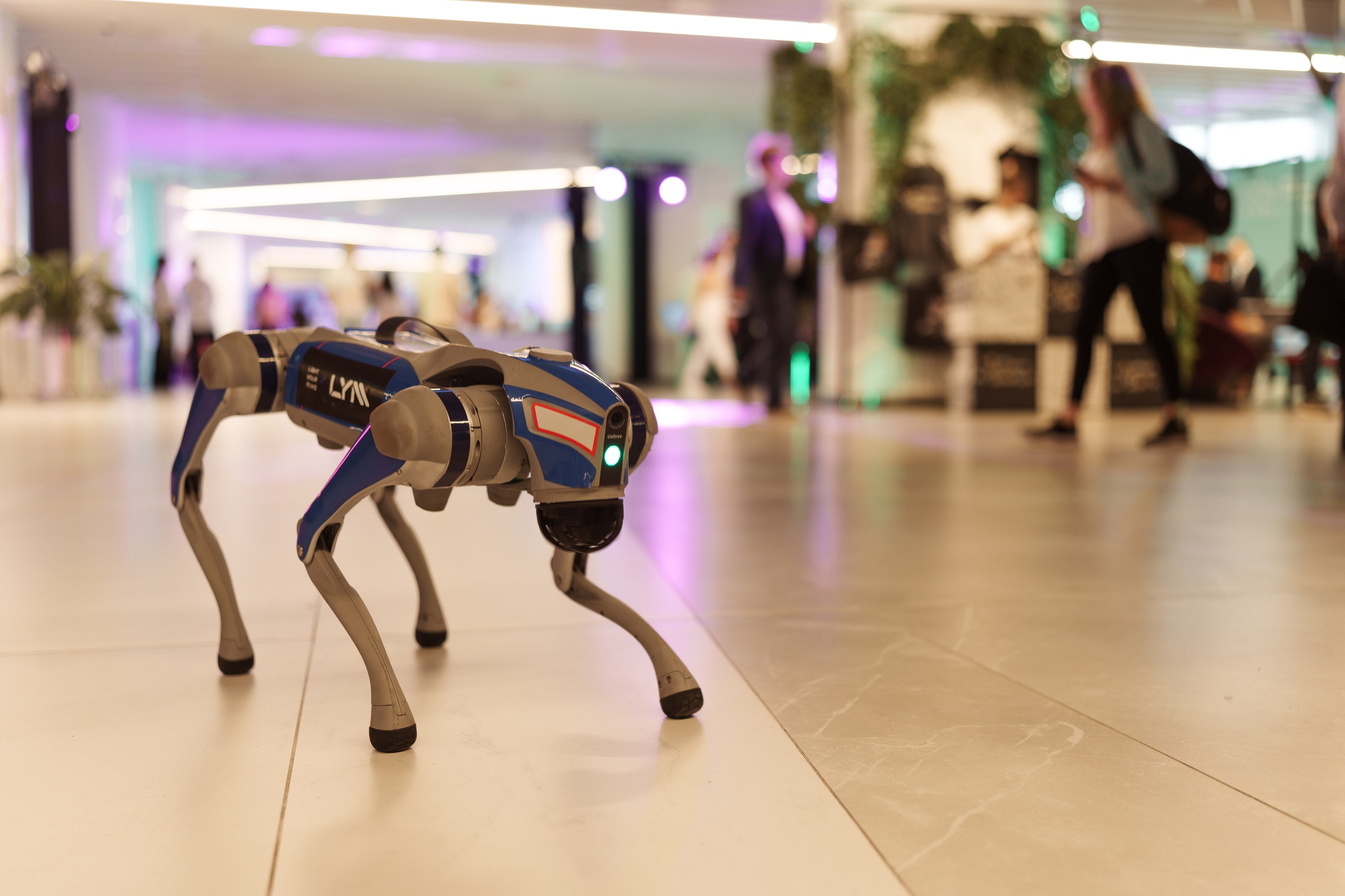 ЛЦТ ФЕСТ 2024 в арт кластере Ломоносов. Свадебные фотосессии в Москве. Фотограф Сергей Ржевский