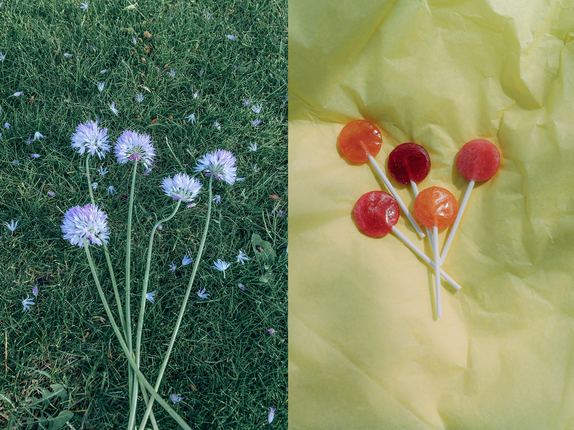 цветы, леденцы, красный, детство, сладкий