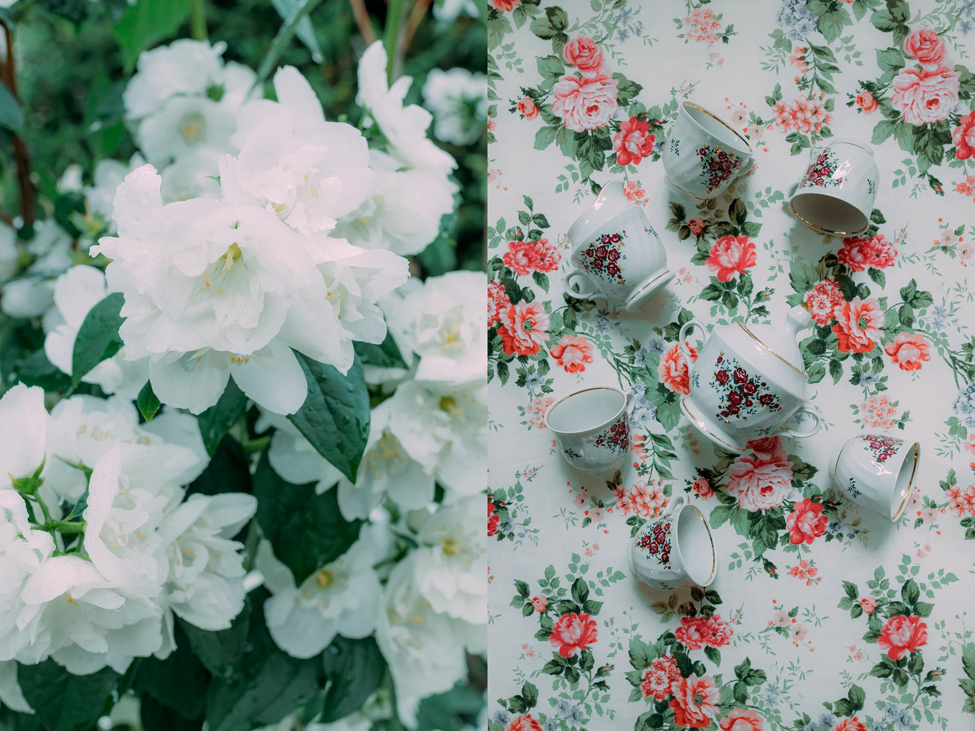 жасмин, чай, сервис, аромат, вкус