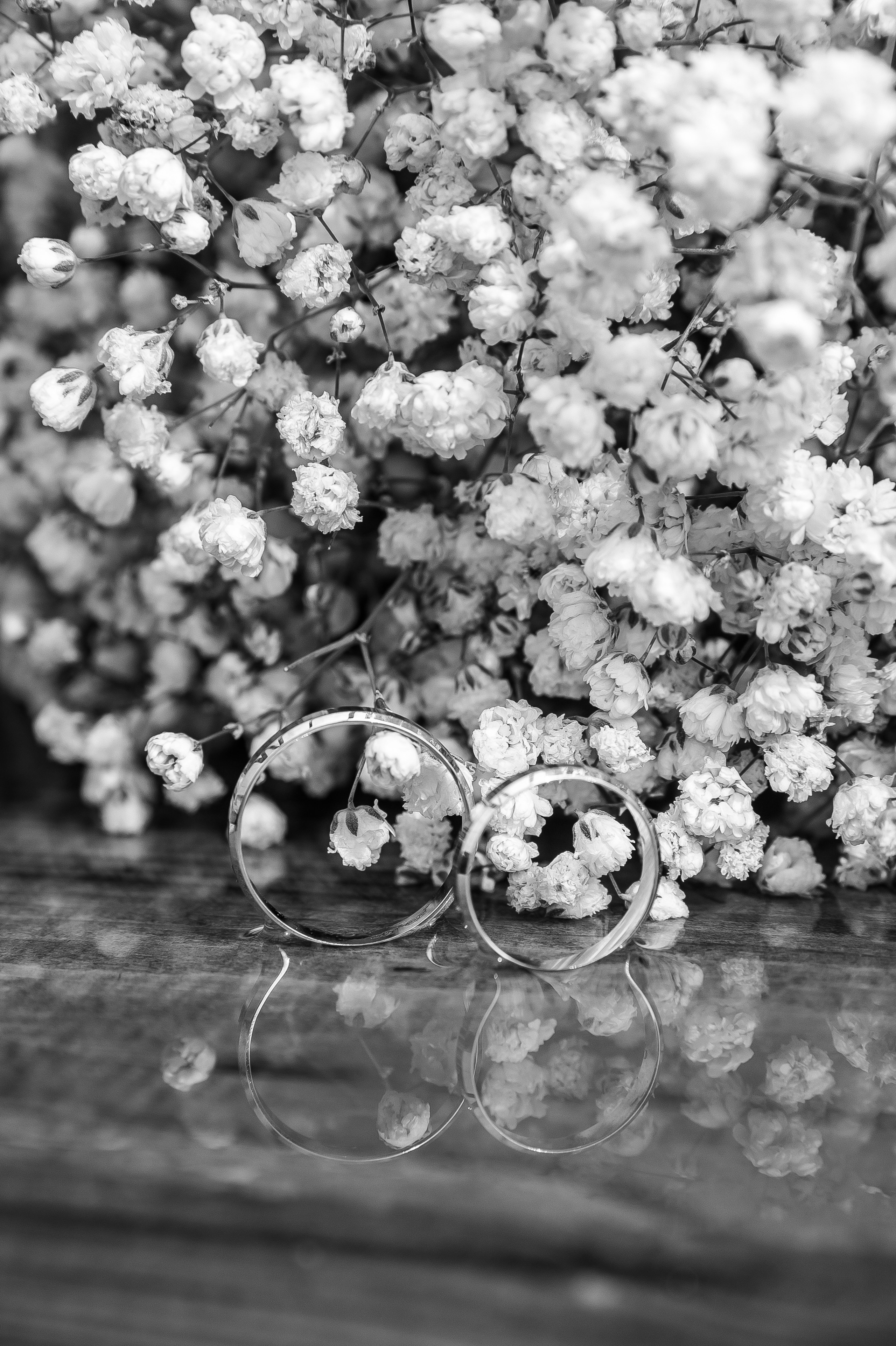 Влад и Анастасия. Свадебный фотограф Настя Шелл г. Череповец