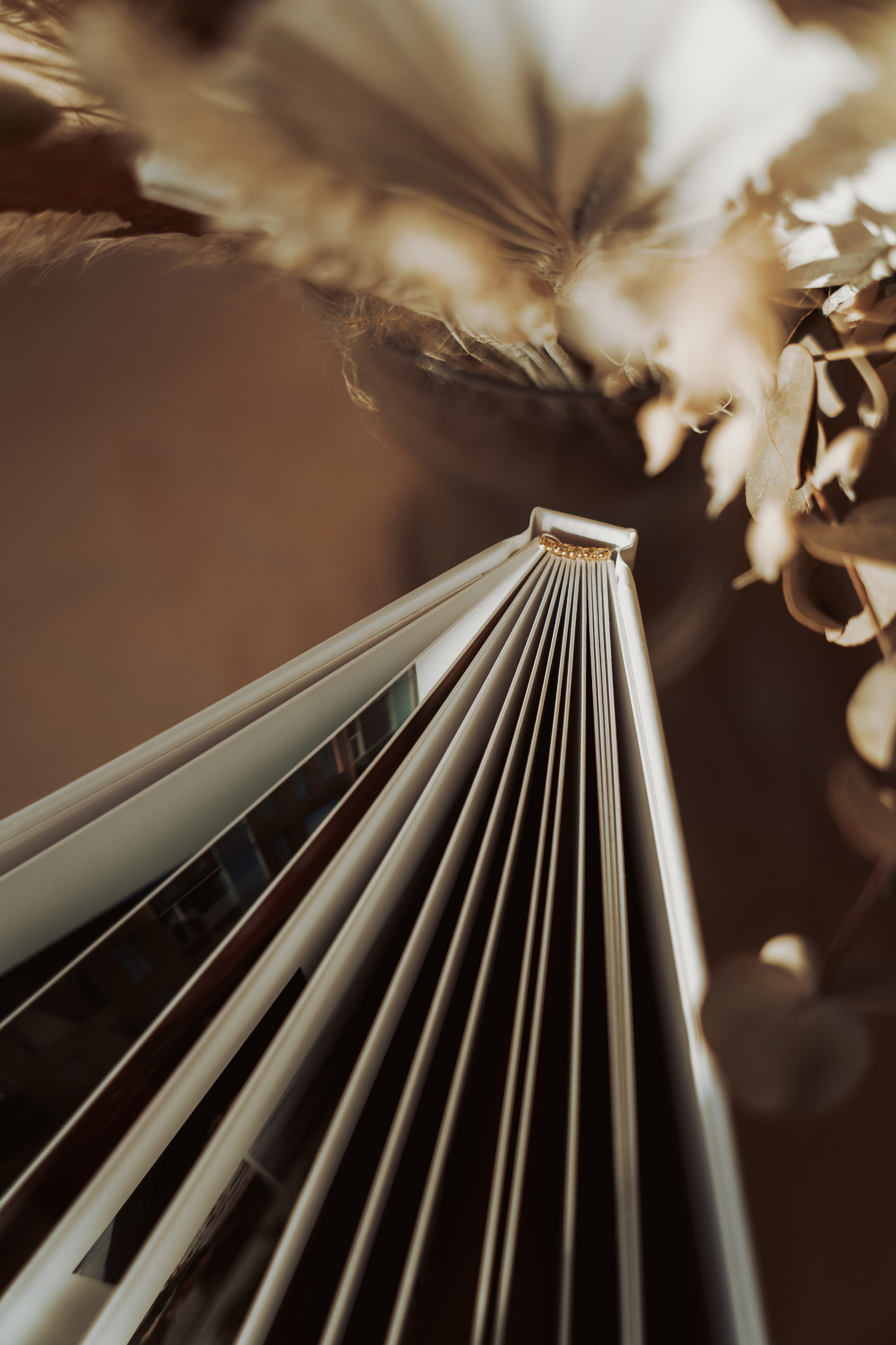 Стоимость свадебной фотосъемки