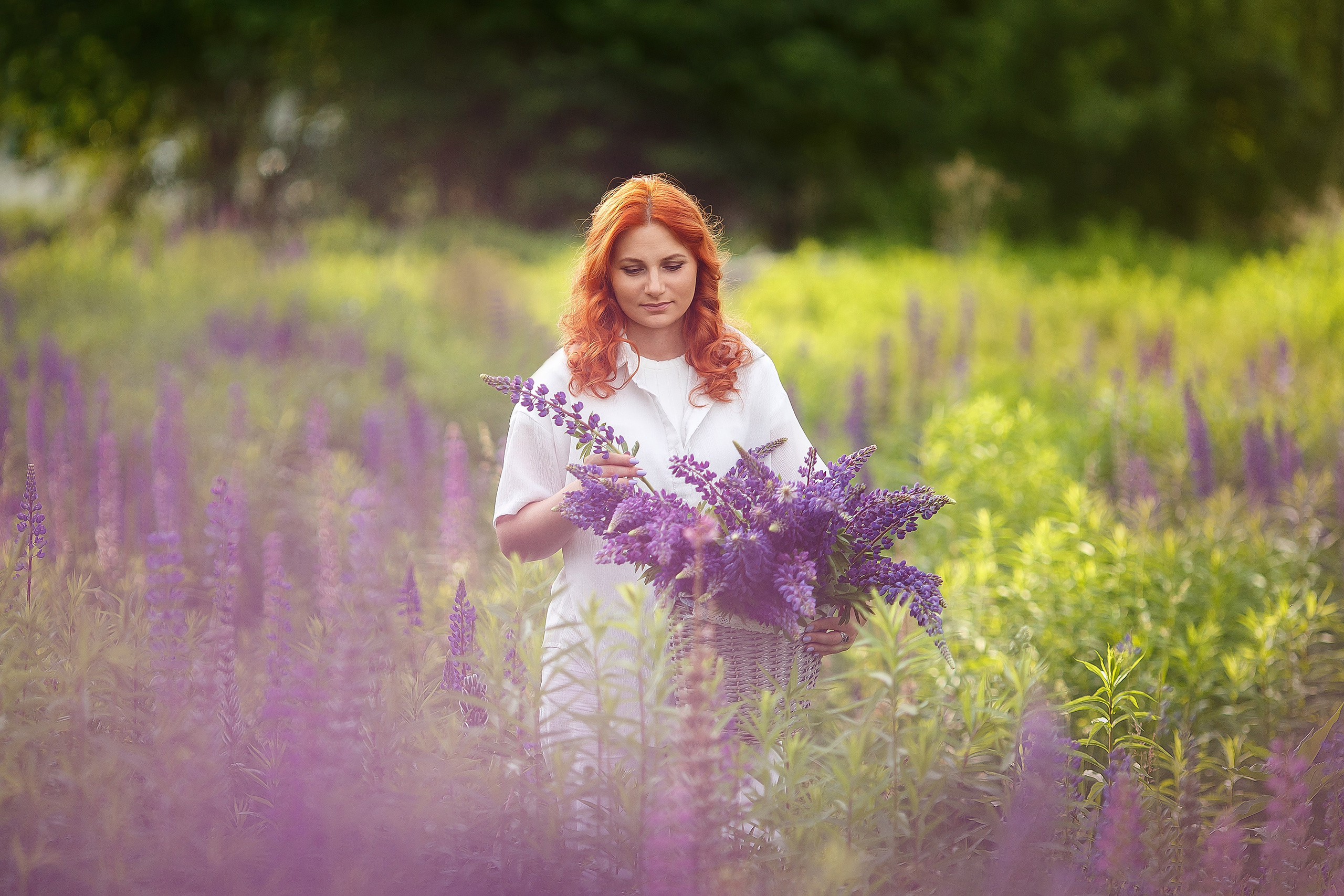 Съемки с люпинами. Семейный фотограф в Брянске Александра Щербакова