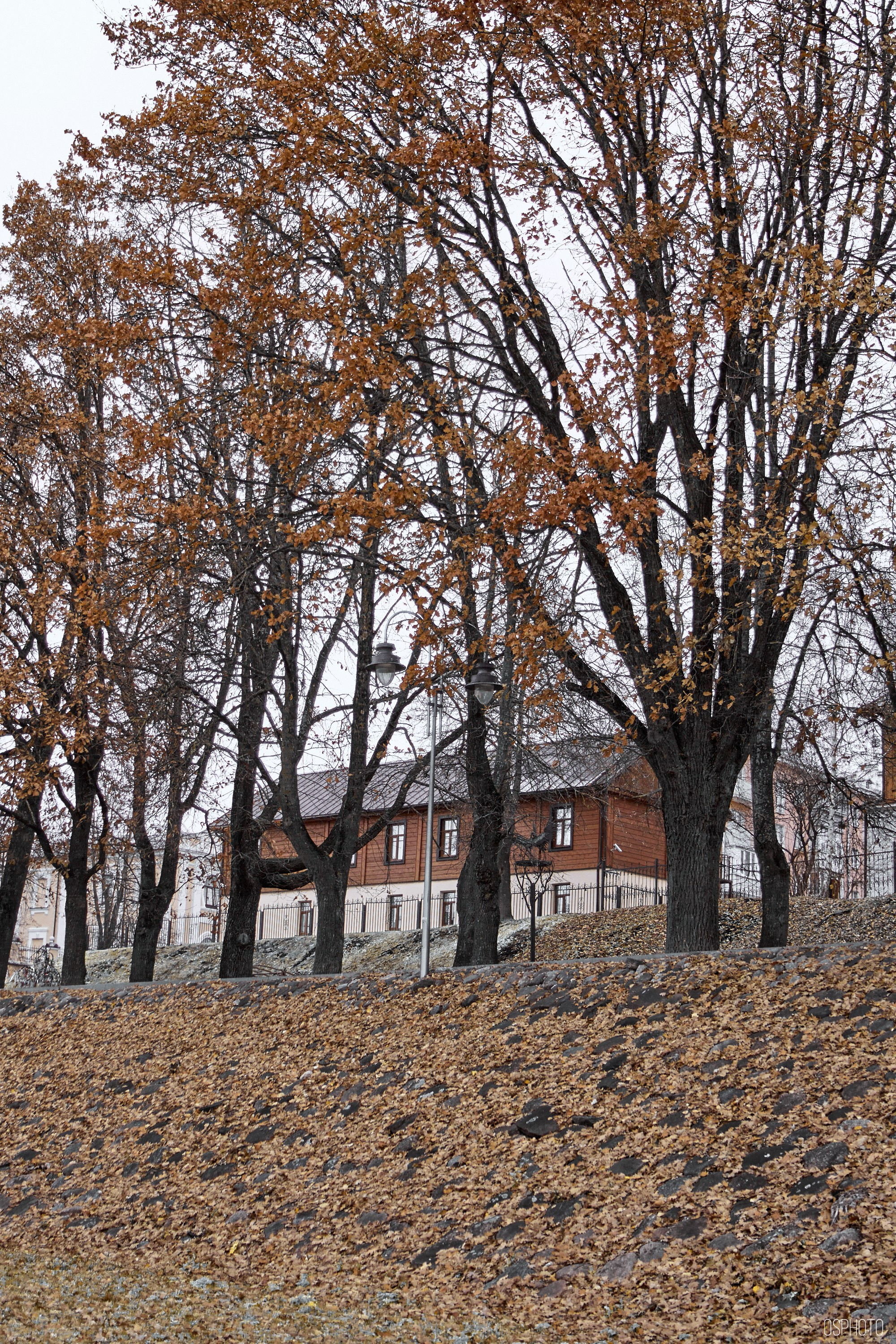 Псков. Ноябрь. Фотографъ Сергѣевъ. Поймать мгновеніе