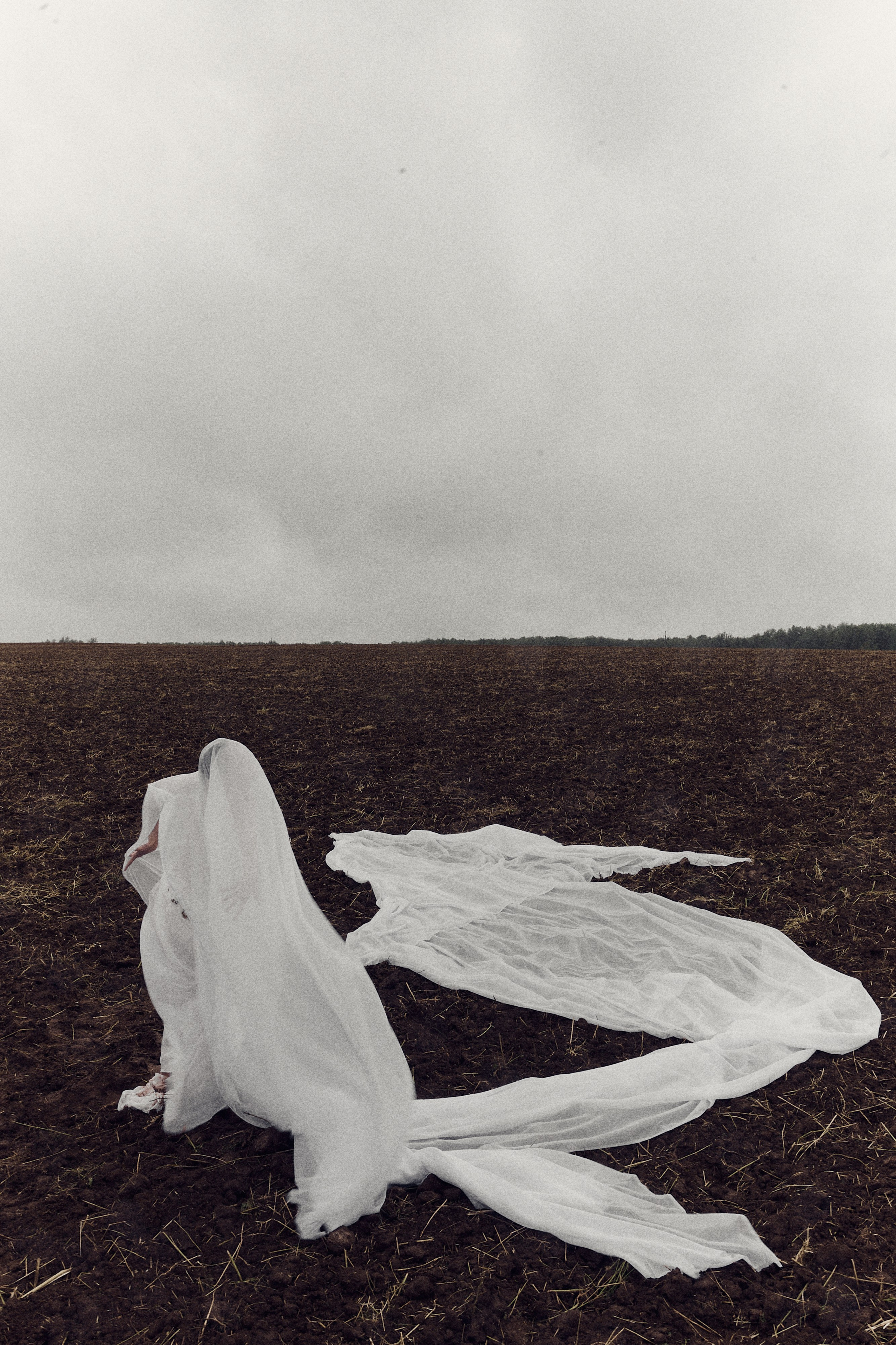 Виолетта и Александр. Свадебный и семейный фотограф в Иваново и Москве Мильков Вадим