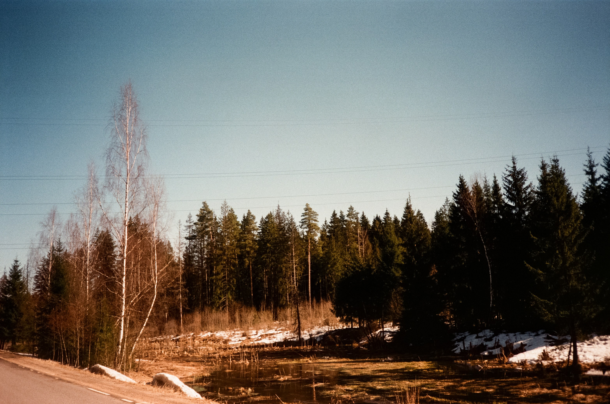 Ricoh FF-300D / Fujifilm X-tra 400 (просрочка) / Лукино март 2024 г