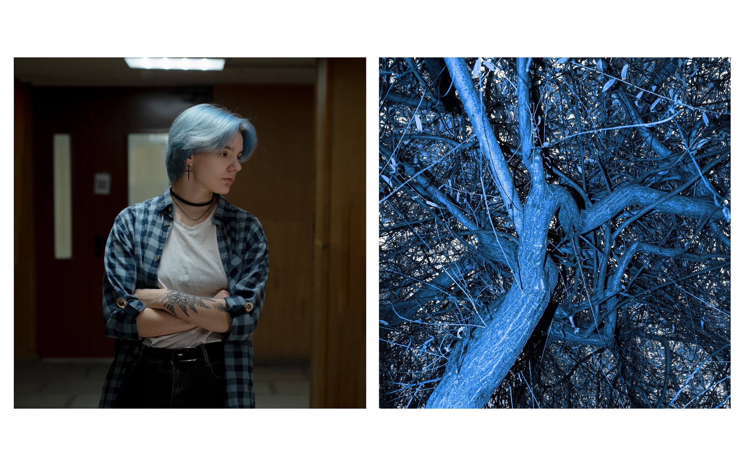 Параллельно звучащие в тишине. Tatiana Mishchenko