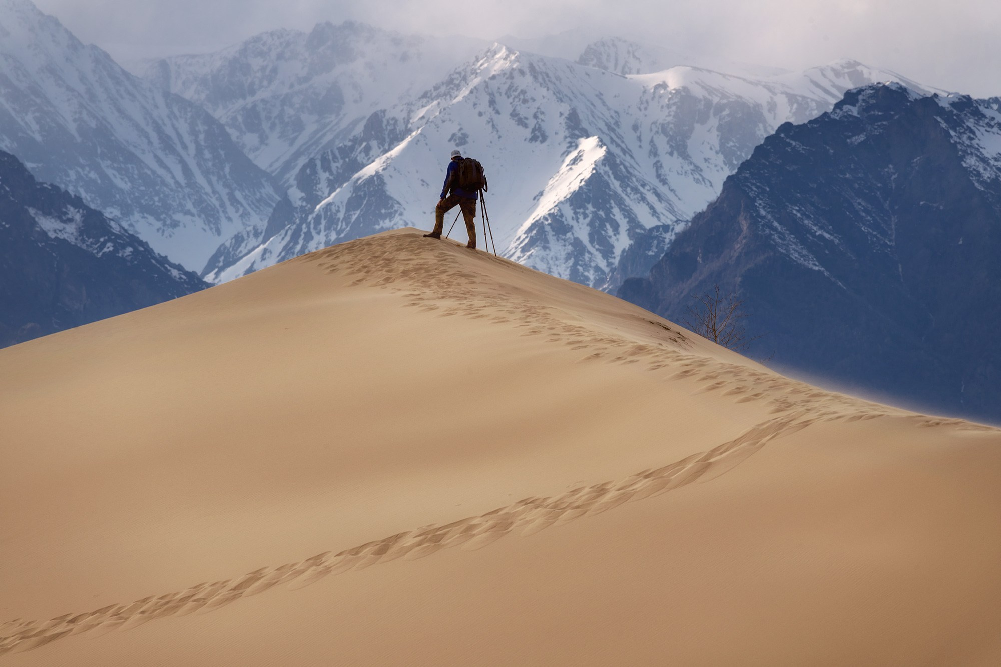 Чарские пески. Май 2026