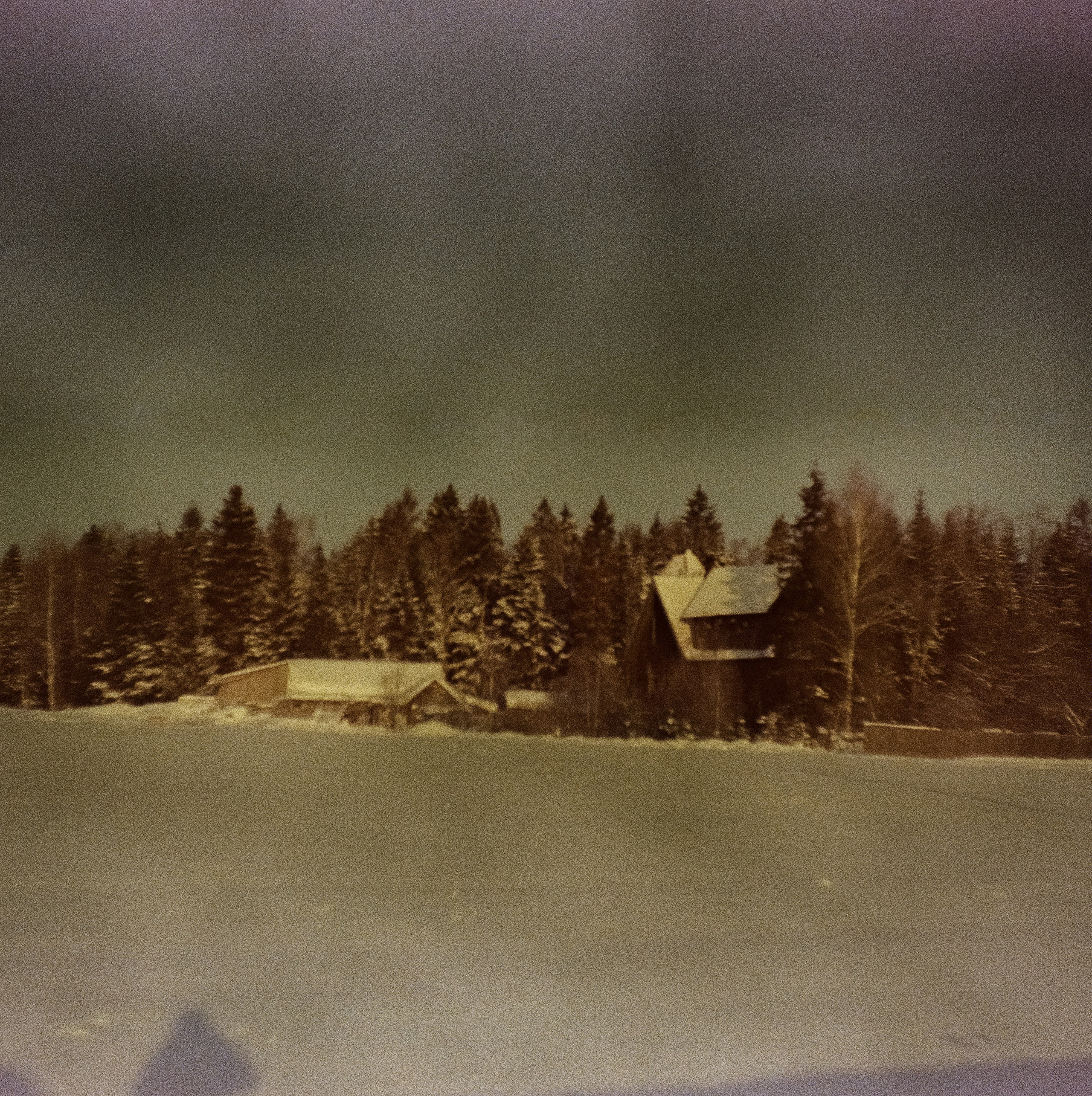 Kodak Ektachrome 64T / Franka Solida III / Архангельское, Лукино