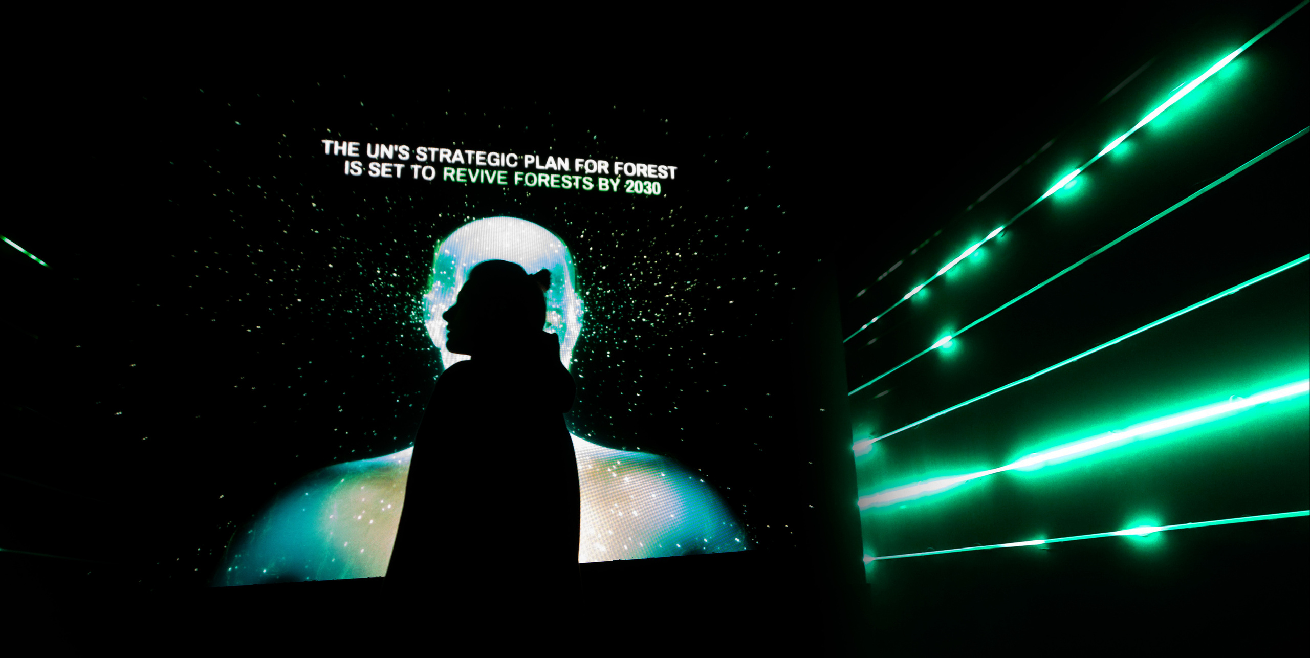 7 интерактивных инсталляций / COP 27. OOPS