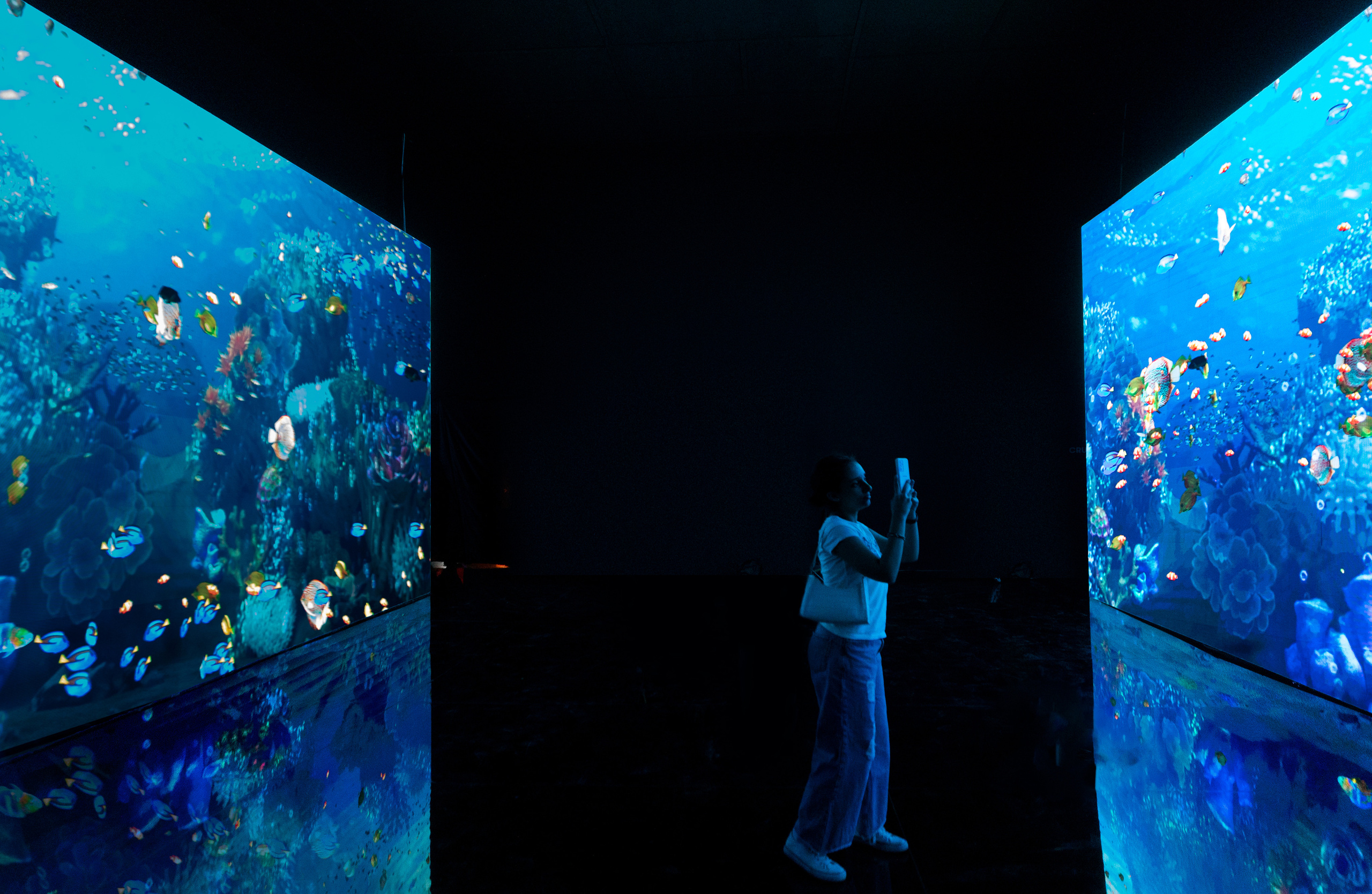 7 интерактивных инсталляций / COP 27. OOPS