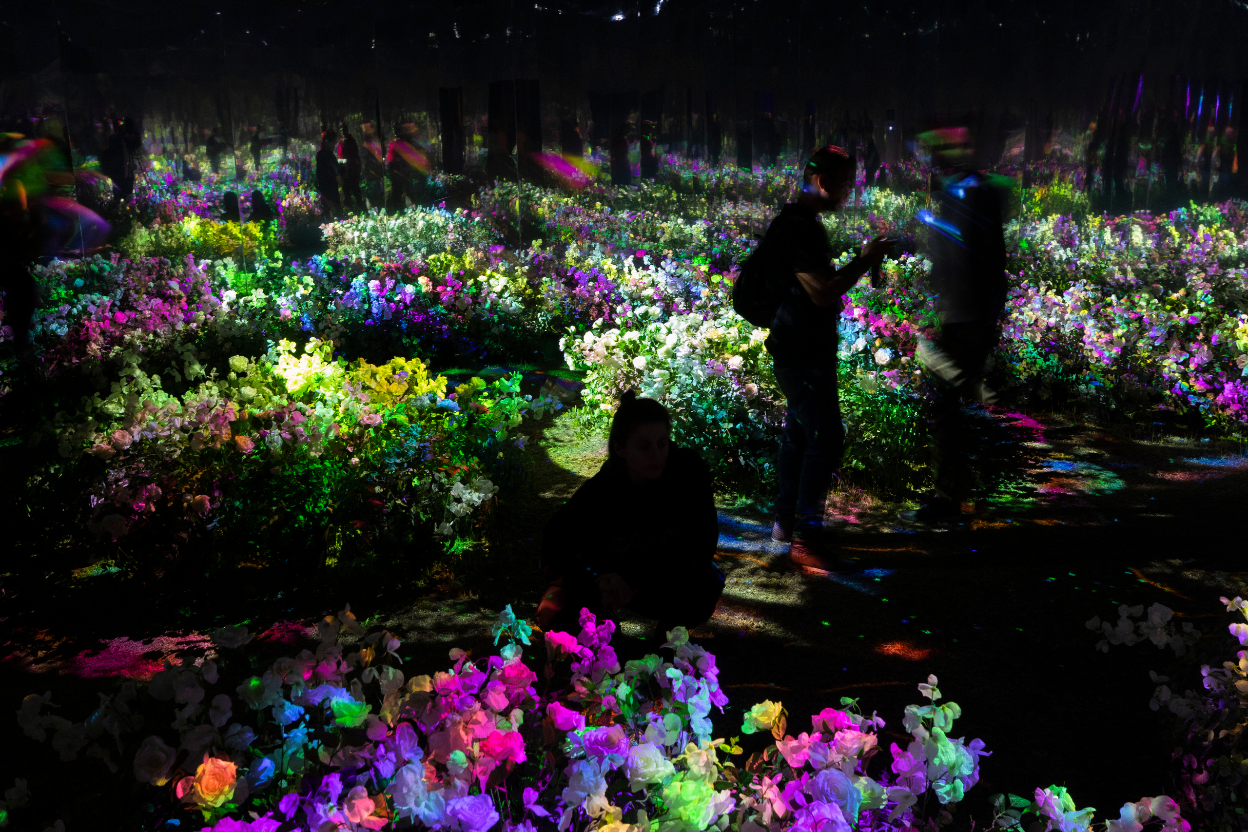 7 интерактивных инсталляций / COP 27. OOPS