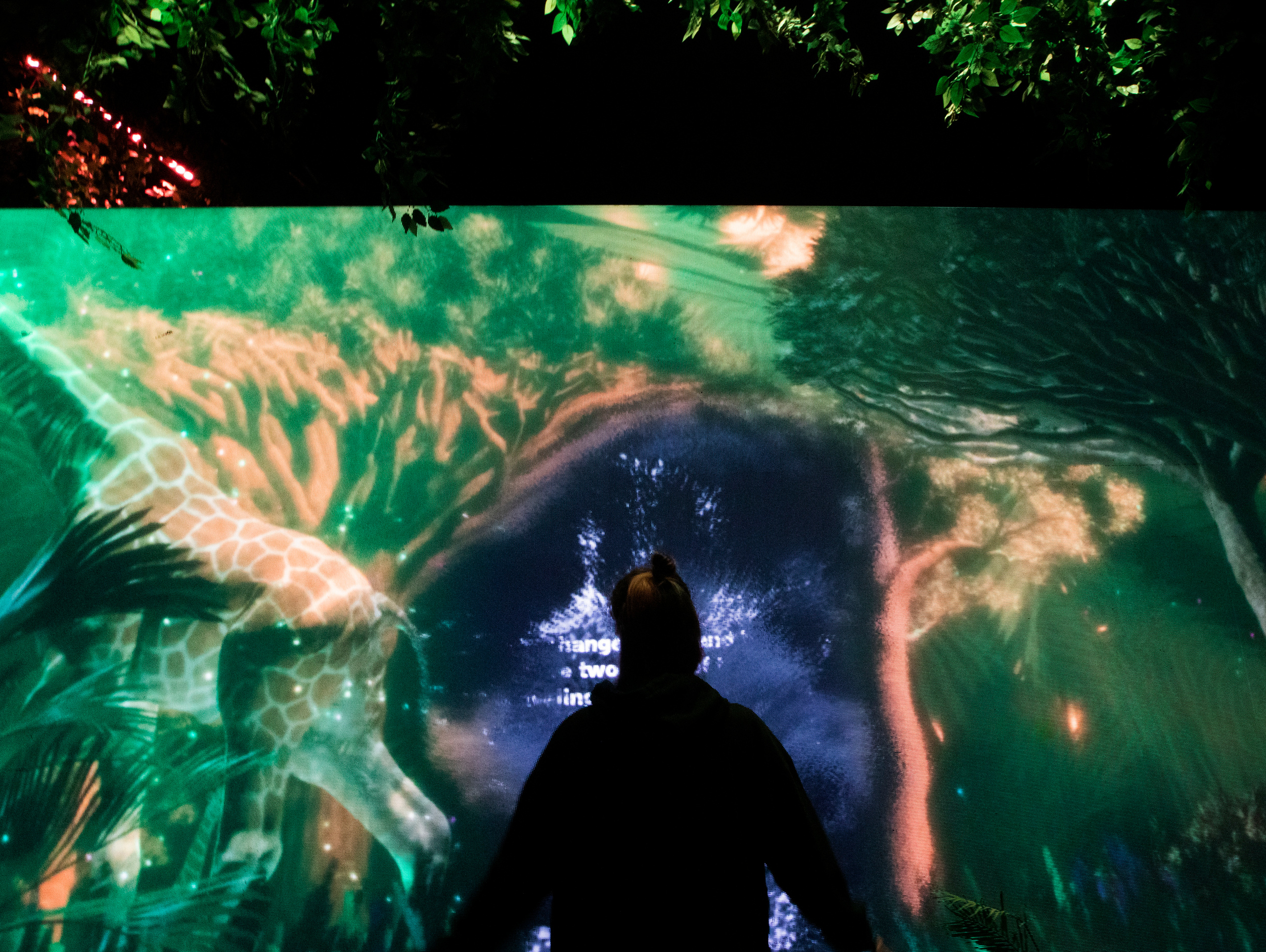 7 интерактивных инсталляций / COP 27. OOPS